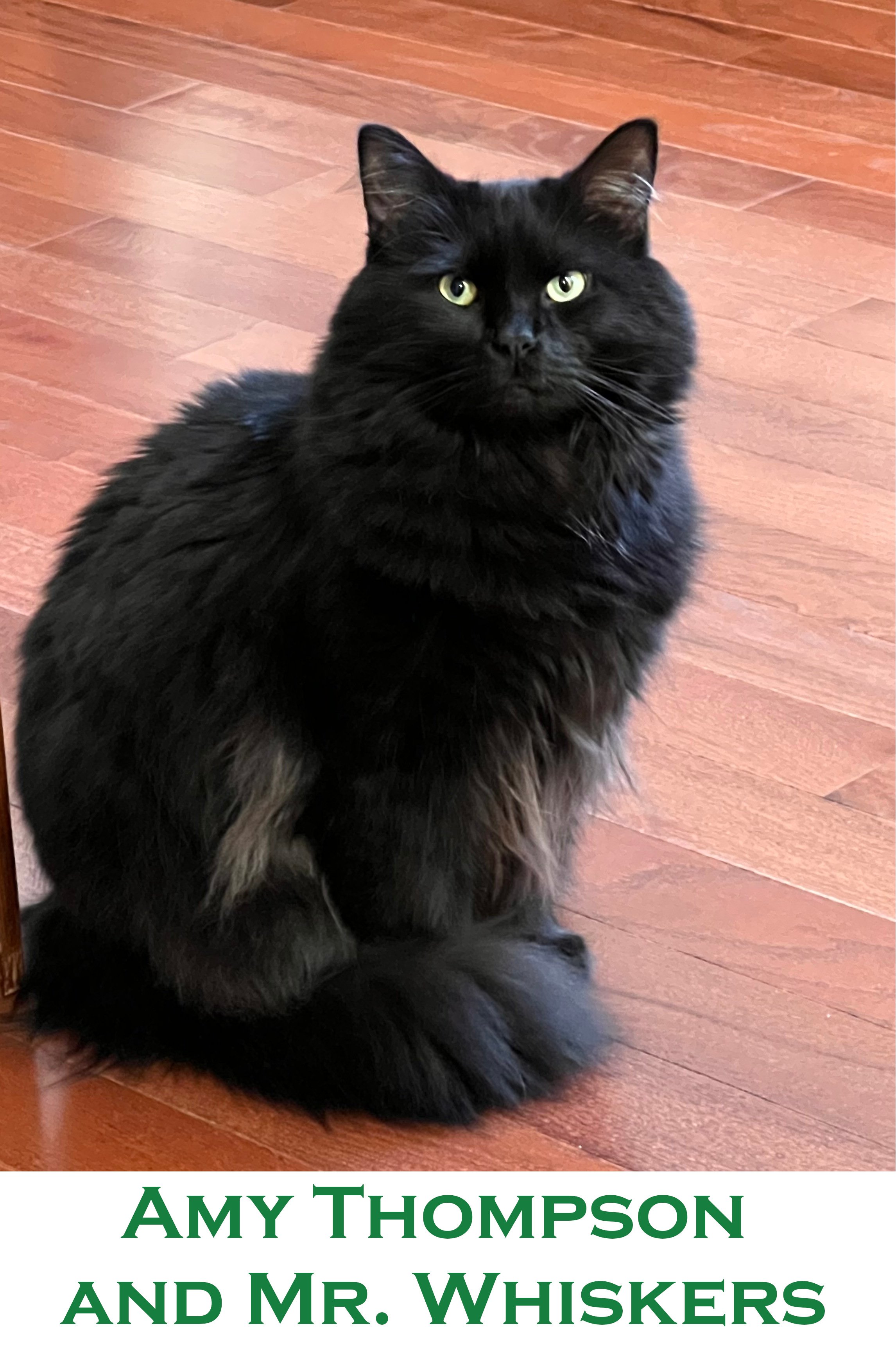 amy thompson and mr whiskers.jpeg