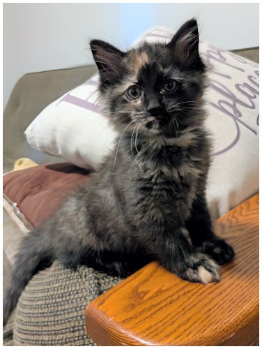 katespayed2026_18.jpg