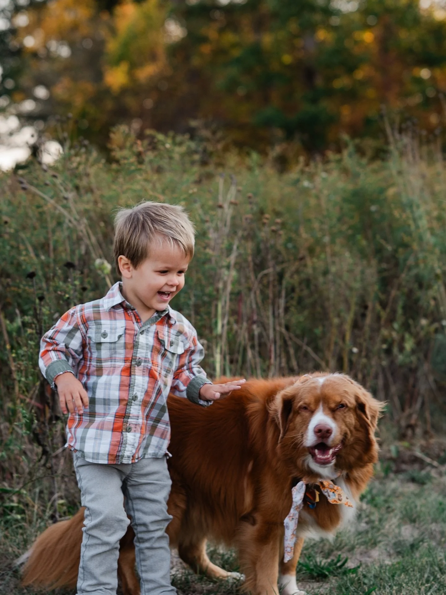 I&rsquo;m a big fan of the family dog showing up to a session to help bring out all the smiles 🐾