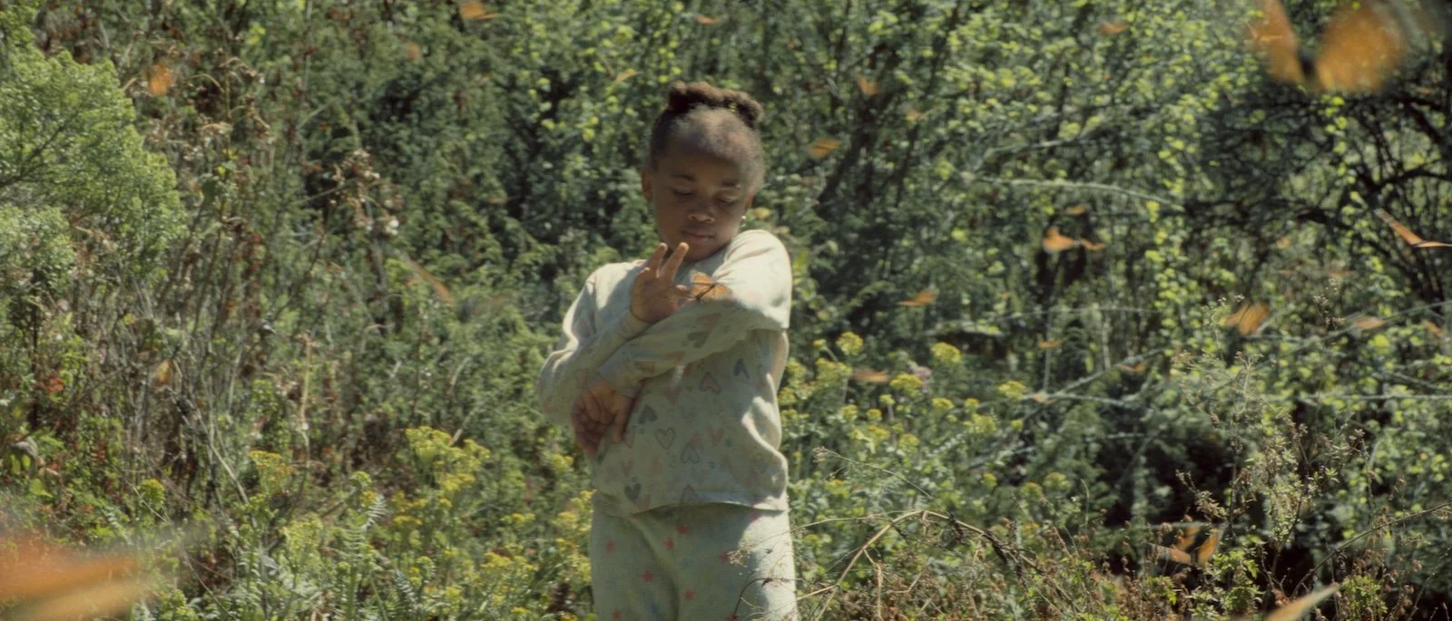 THE GARDEN WE DREAMED_4 c.AmondoCine.jpg