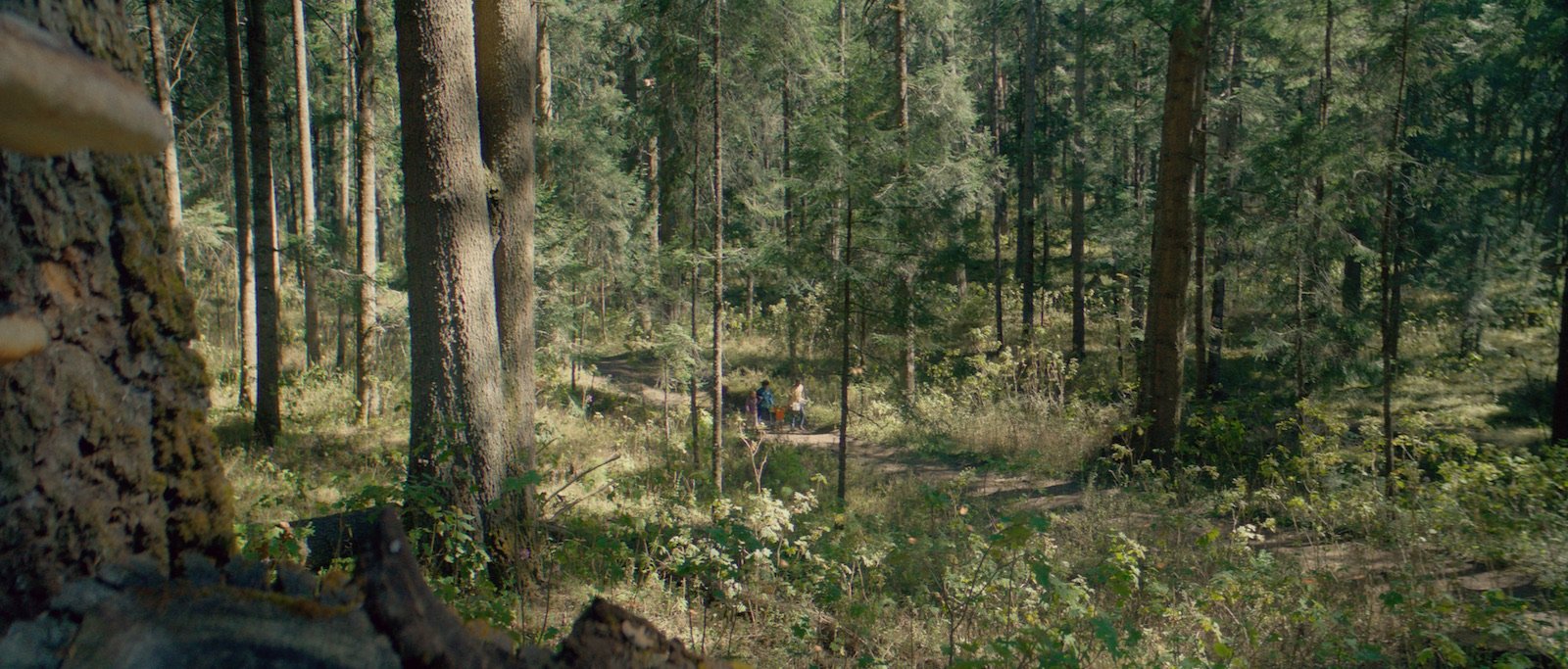 THE GARDEN WE DREAMED_3 c.AmondoCine.jpg