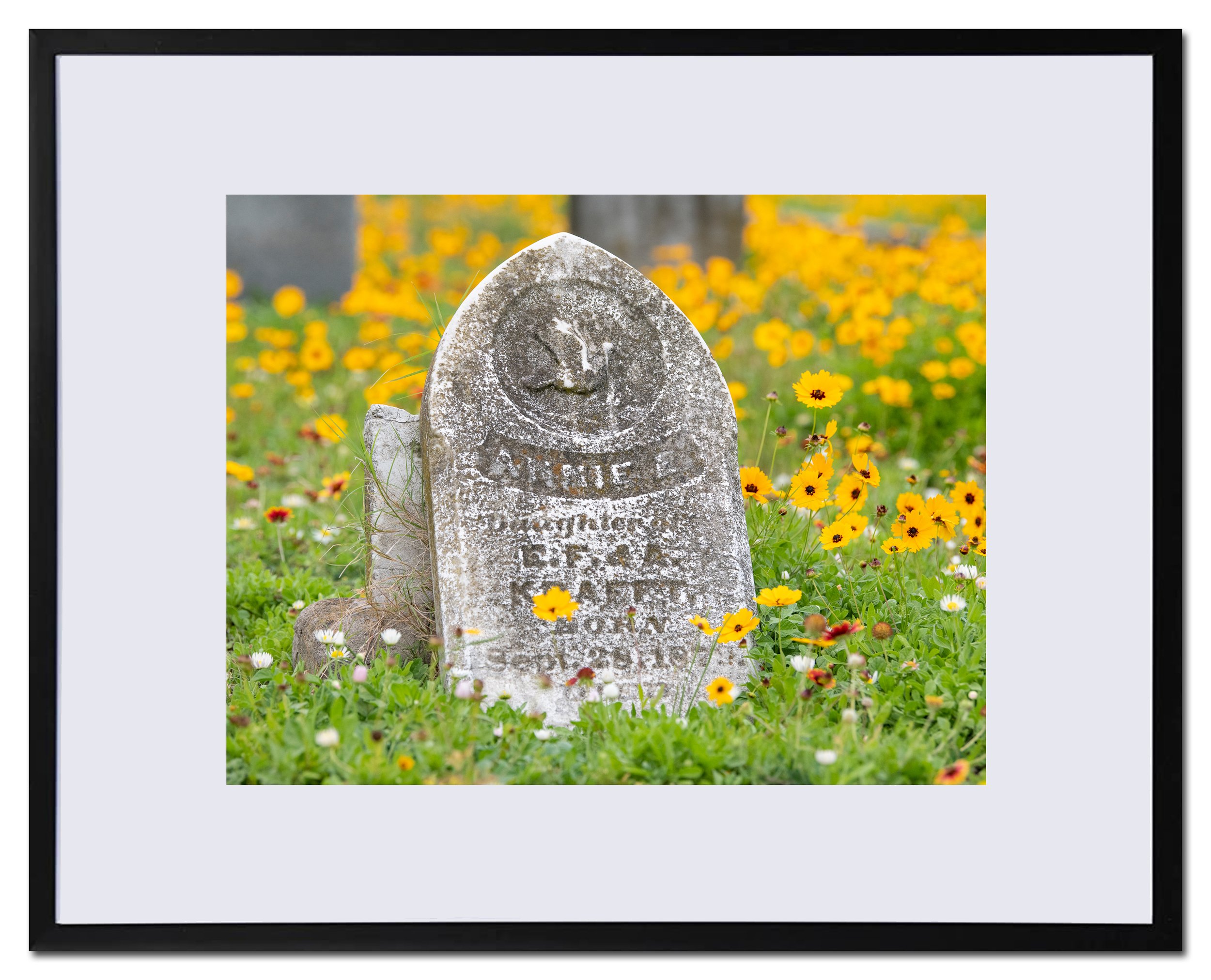 Broadway Cemetery Historic District Galveston Texas Framed Print - Free Shipping
