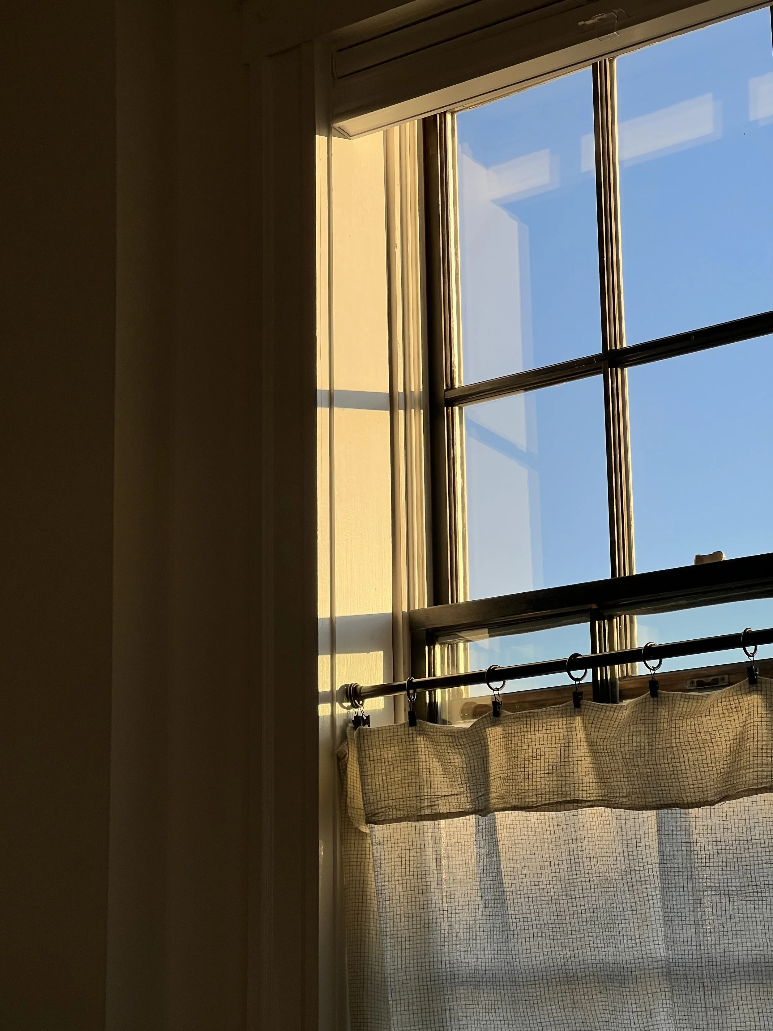 IMG_7749.jpeg