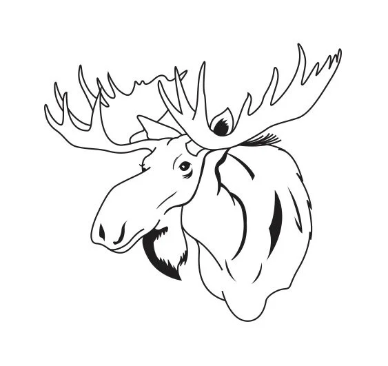 Talking Moose Productions