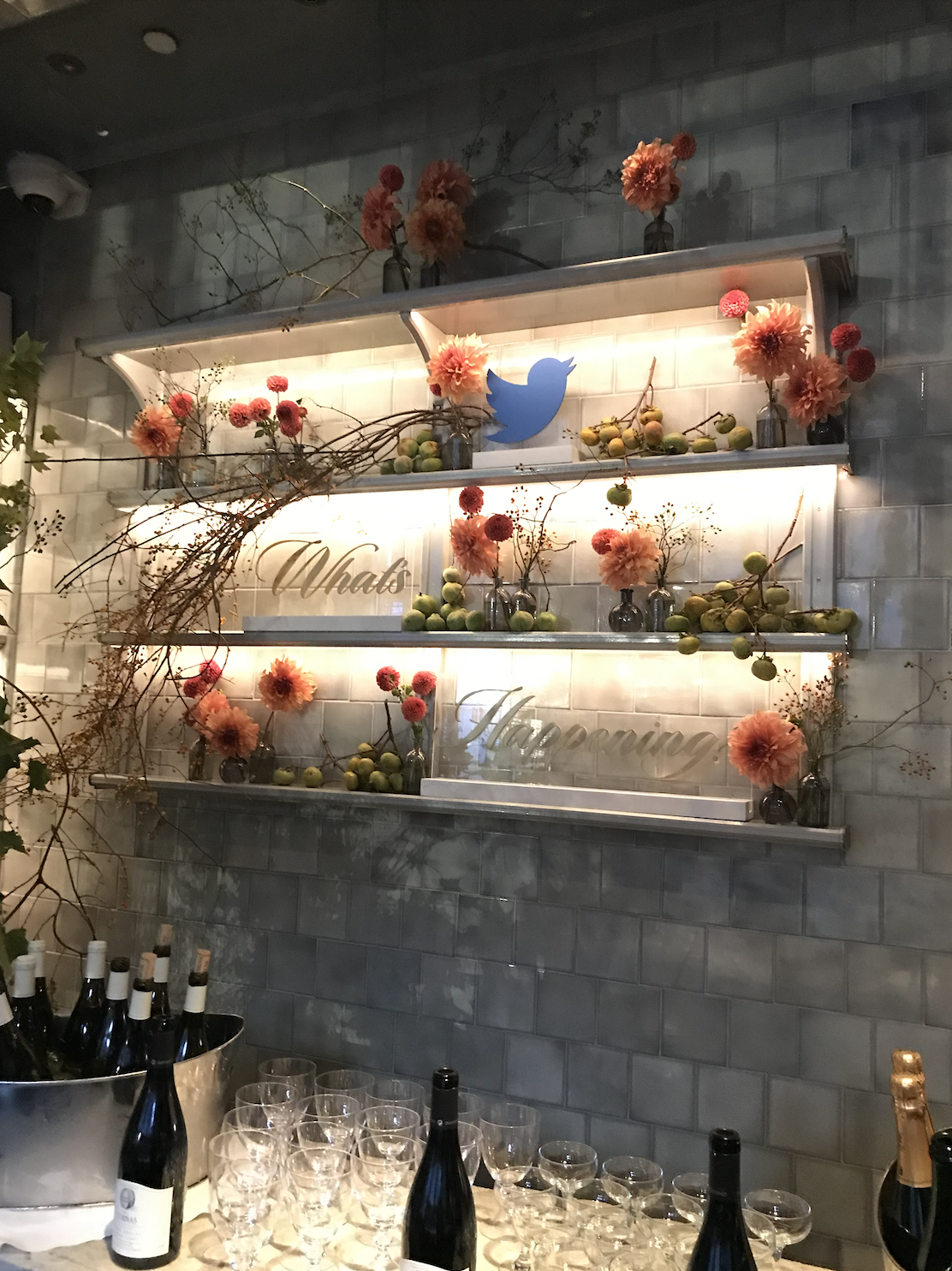 Screen Shot 2023-01-10 at 12.25.08 PM.png