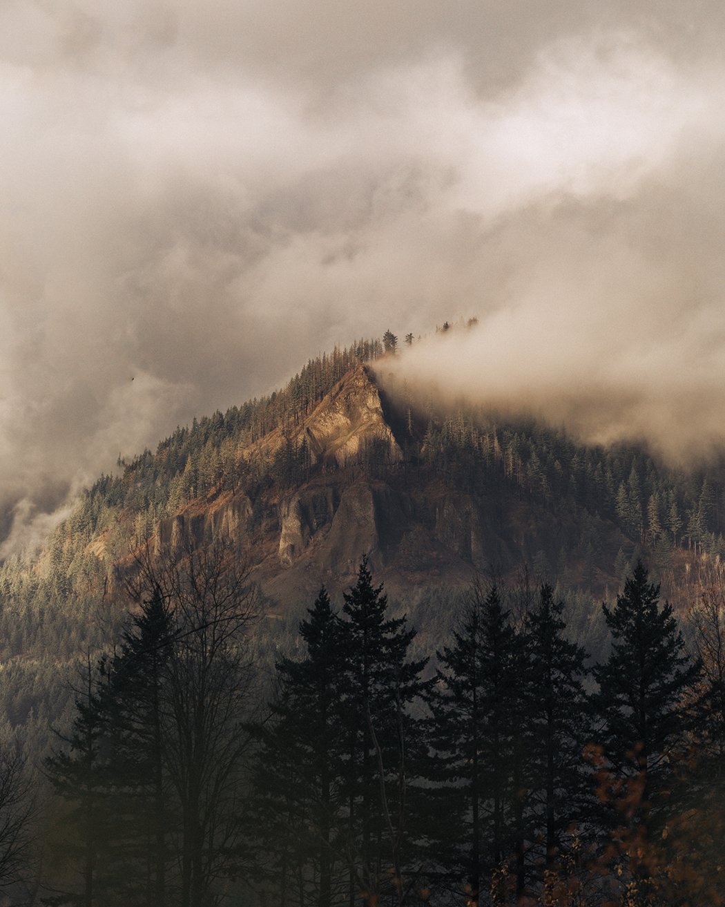 Oregon-web.jpg