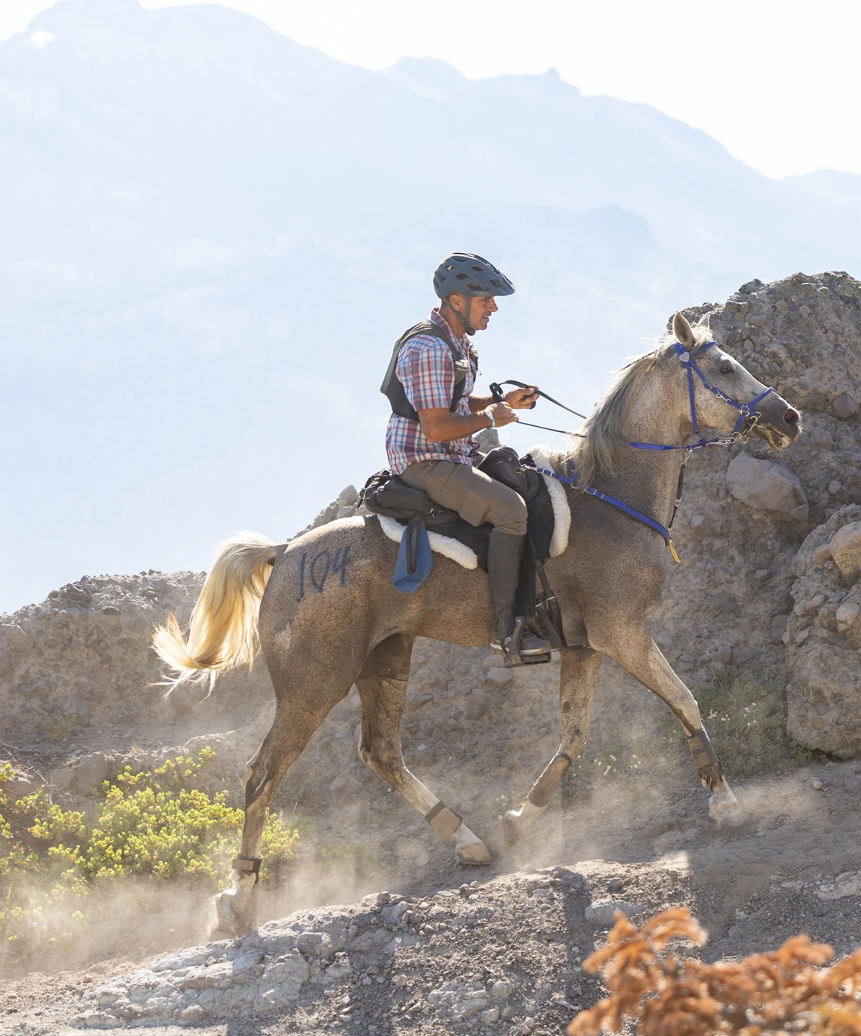 Tevis Cup, Tevis Cup 2025, Tevis Cup Endurance Ride, Tevis Cup Photographer, Endurance Ride, Endurance Riding, Endurance Racing, Western States Trail Foundation