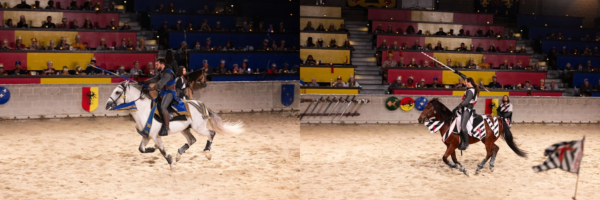 Medieval Times, Medieval Times Chicago, Chicago, Chicago Horse, Midwest Horse Photographer, Dressage Photographer, Wisconsin Horse, Equine Photographer