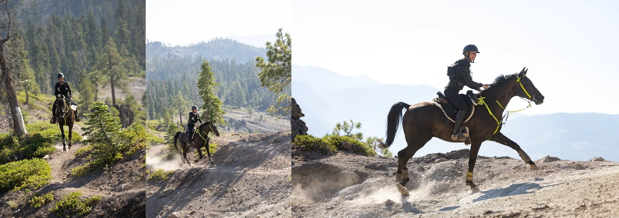 Tevis Cup, Tevis Cup 2025, Tevis Cup Endurance Ride, Tevis Cup Photographer, Endurance Ride, Endurance Riding, Endurance Racing, Western States Trail Foundation
