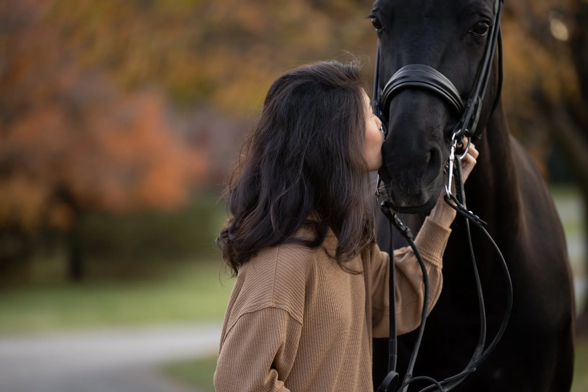 Sidelines Magazine, FEI, Dressage, USDF, Gelding, Mare, Britt Burson, Stacy Tierman Photography, Illinois Horse Photography, Illinois Horse Photographer, Midwest Horse Photographer, Chicago Horse Photographer, Chicago Horse Photography, Wisconsin