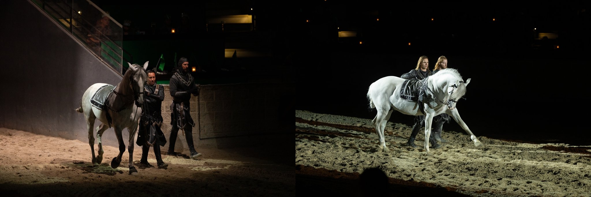 Medieval Times, Medieval Times Chicago, Chicago, Chicago Horse, Midwest Horse Photographer, Dressage Photographer, Wisconsin Horse, Equine Photographer