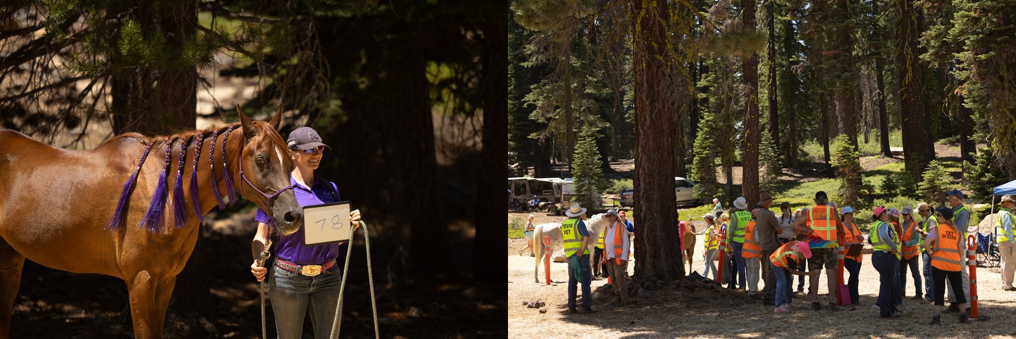 Tevis Cup, Tevis Cup 2025, Tevis Cup Endurance Ride, Tevis Cup Photographer, Endurance Ride, Endurance Riding, Endurance Racing, Western States Trail Foundation