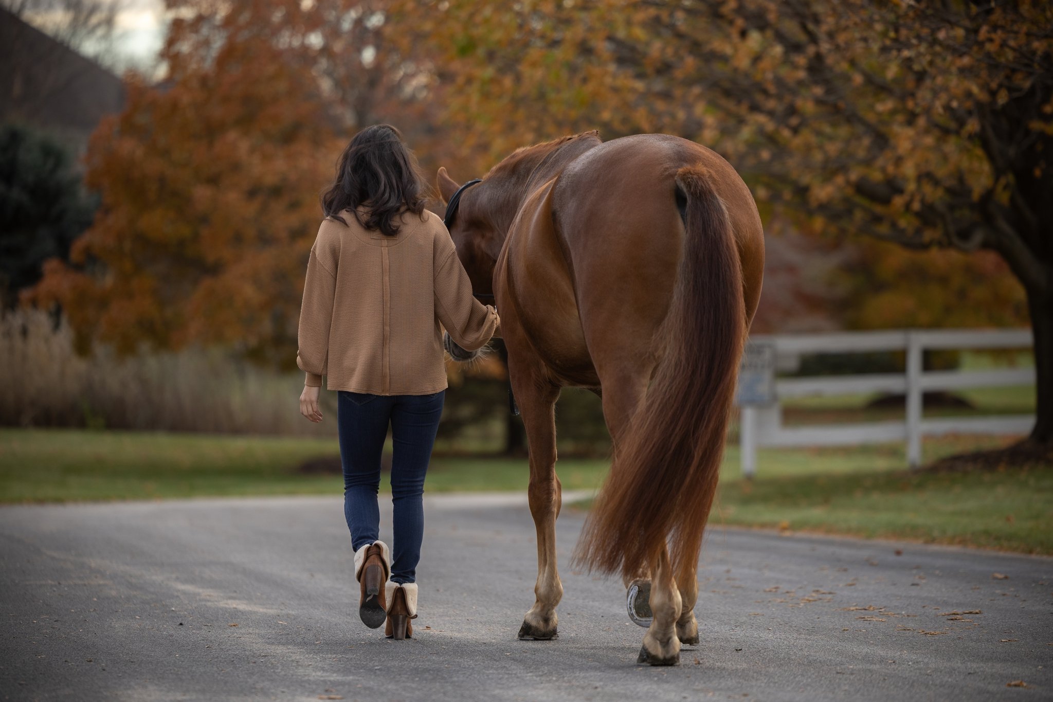 Sidelines Magazine, FEI, Dressage, USDF, Gelding, Mare, Britt Burson, Stacy Tierman Photography, Illinois Horse Photography, Illinois Horse Photographer, Midwest Horse Photographer, Chicago Horse Photographer, Chicago Horse Photography, Wisconsin