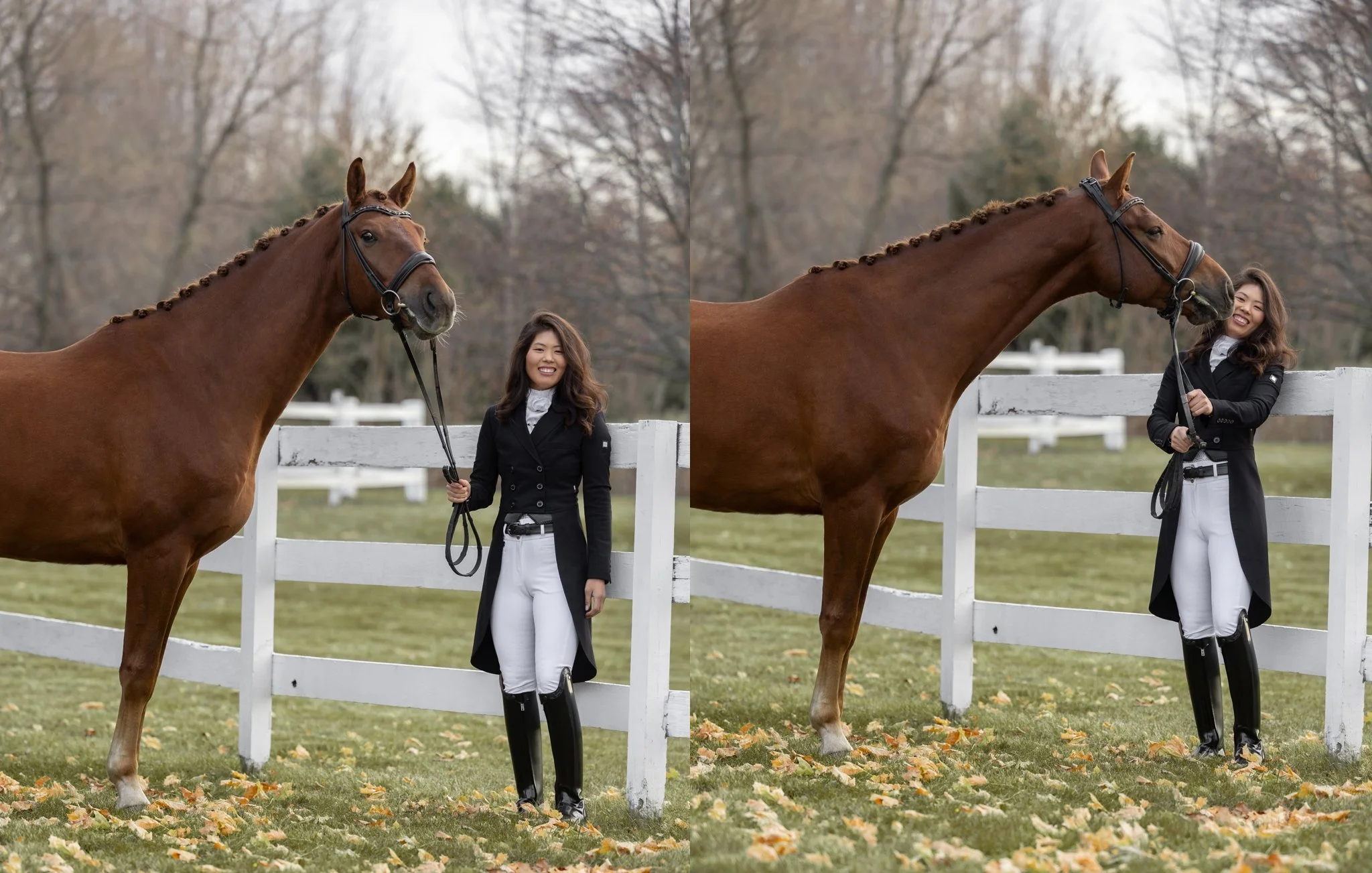 Sidelines Magazine, FEI, Dressage, USDF, Gelding, Mare, Britt Burson, Stacy Tierman Photography, Illinois Horse Photography, Illinois Horse Photographer, Midwest Horse Photographer, Chicago Horse Photographer, Chicago Horse Photography, Wisconsin