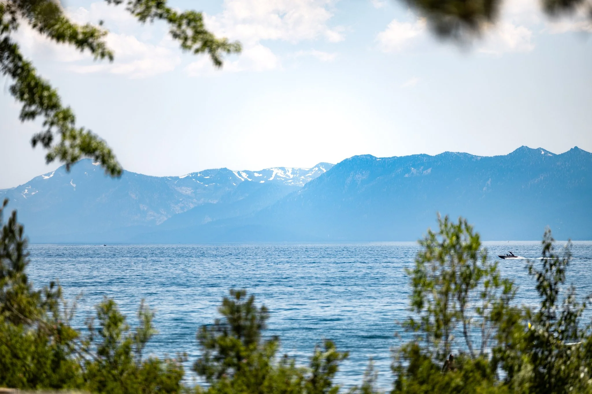Tevis Cup, Tevis Cup 2025, Tevis Cup Endurance Ride, Tevis Cup Photographer, Endurance Ride, Endurance Riding, Endurance Racing, Western States Trail Foundation