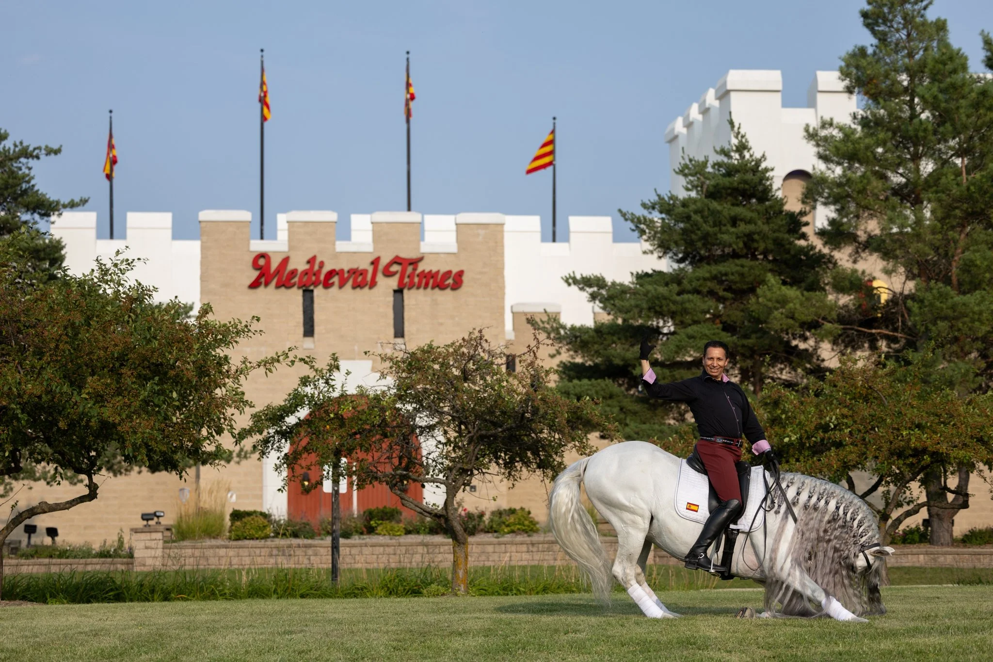 Medieval Times, Medieval Times Chicago, Chicago, Chicago Horse, Midwest Horse Photographer, Dressage Photographer, Wisconsin Horse, Equine Photographer