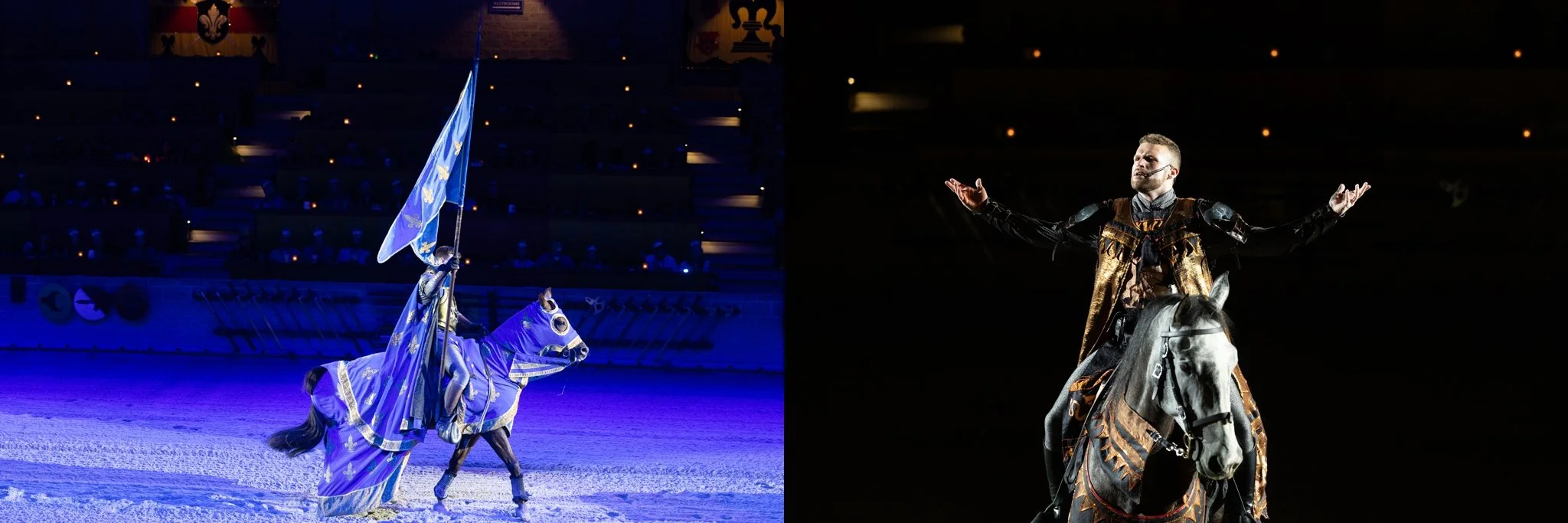 Medieval Times, Medieval Times Chicago, Chicago, Chicago Horse, Midwest Horse Photographer, Dressage Photographer, Wisconsin Horse, Equine Photographer