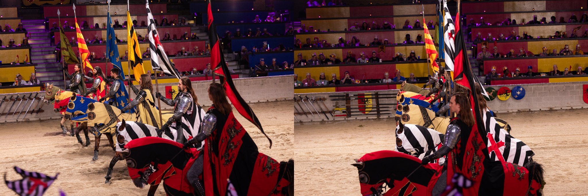 Medieval Times, Medieval Times Chicago, Chicago, Chicago Horse, Midwest Horse Photographer, Dressage Photographer, Wisconsin Horse, Equine Photographer