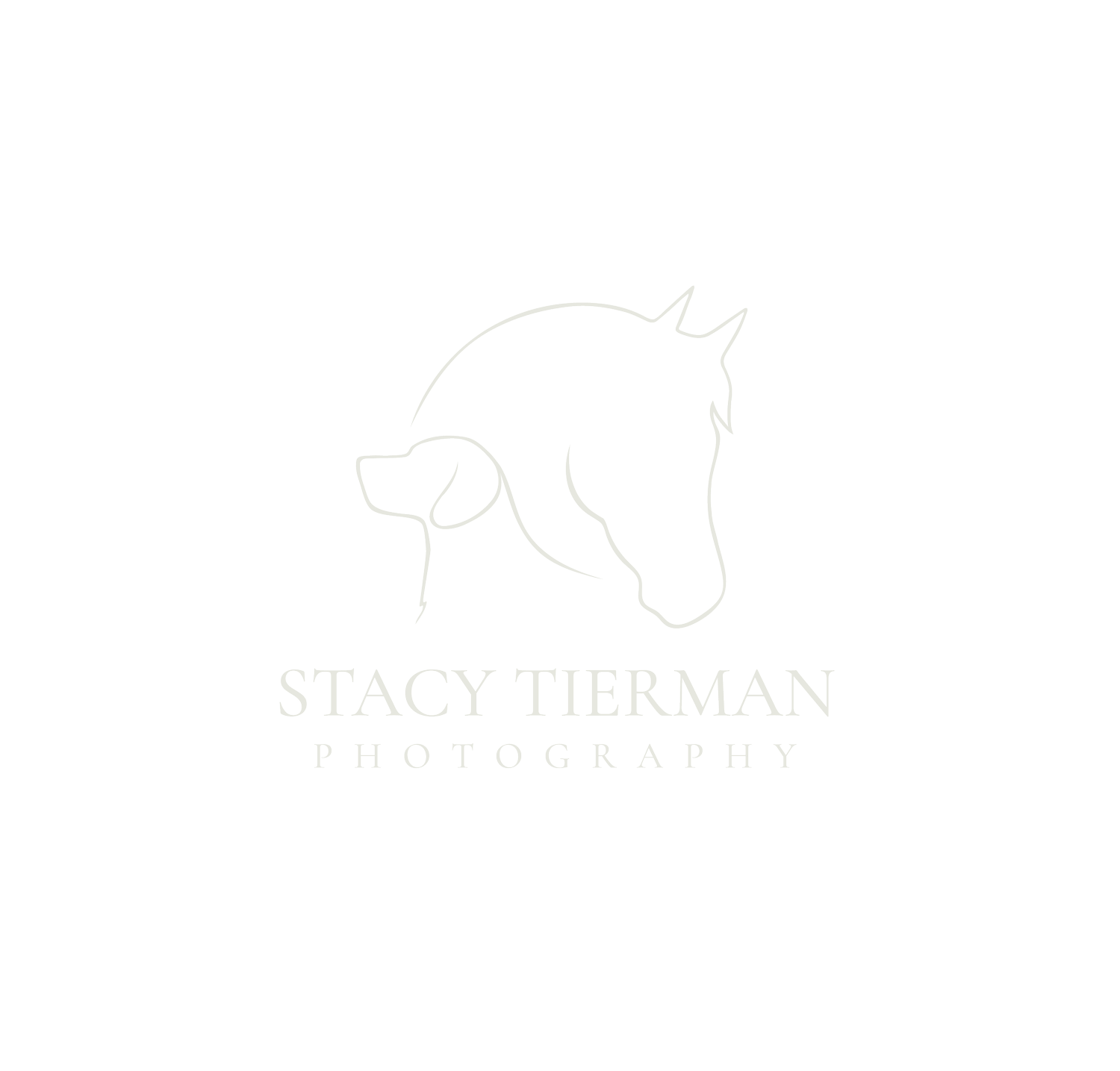 Stacy Tierman Photography