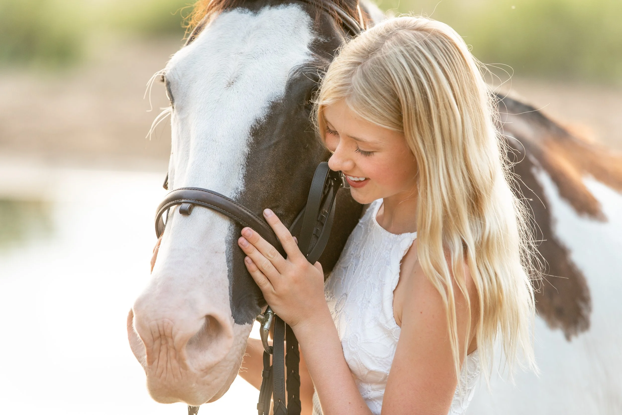 Wisconsin Horse Photographer