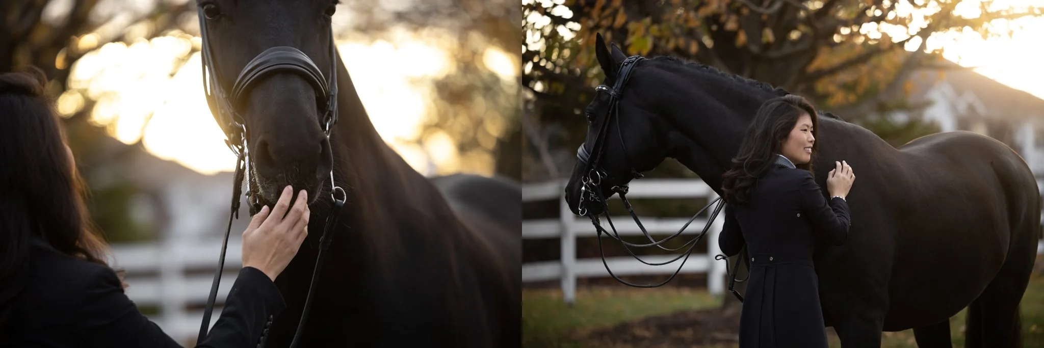 Sidelines Magazine, FEI, Dressage, USDF, Gelding, Mare, Britt Burson, Stacy Tierman Photography, Illinois Horse Photography, Illinois Horse Photographer, Midwest Horse Photographer, Chicago Horse Photographer, Chicago Horse Photography, Wisconsin