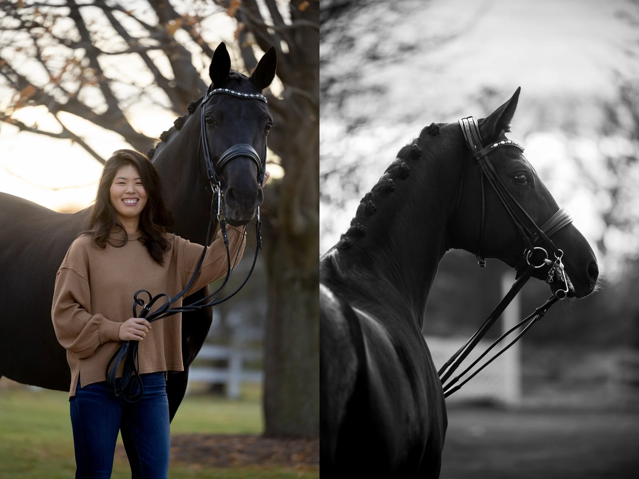 Sidelines Magazine, FEI, Dressage, USDF, Gelding, Mare, Britt Burson, Stacy Tierman Photography, Illinois Horse Photography, Illinois Horse Photographer, Midwest Horse Photographer, Chicago Horse Photographer, Chicago Horse Photography, Wisconsin