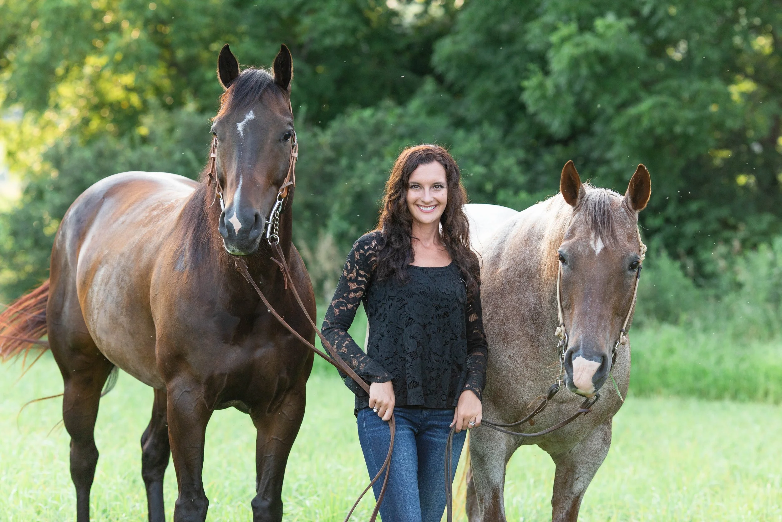 Wisconsin Horse Photographer