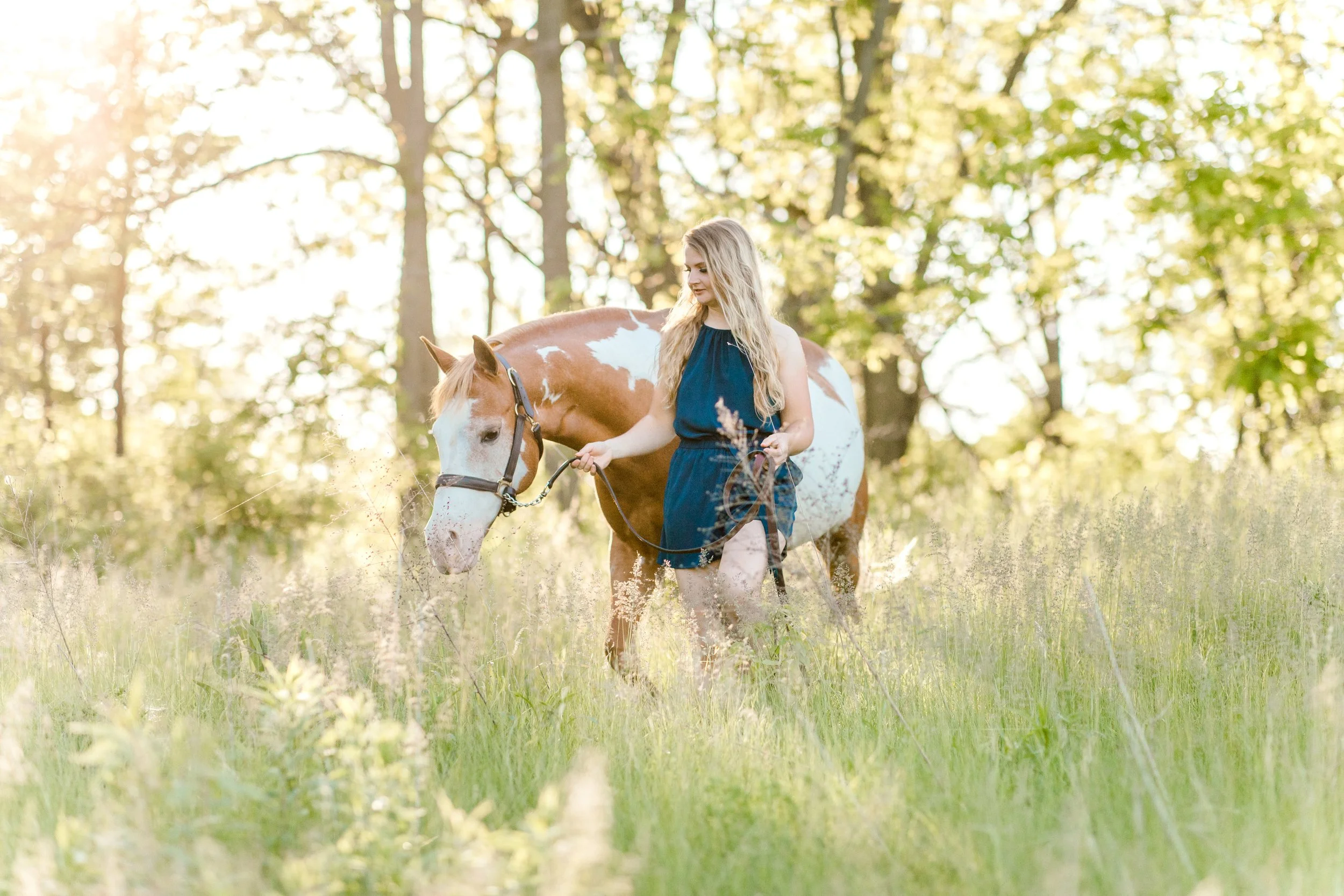 Wisconsin Horse Photographer