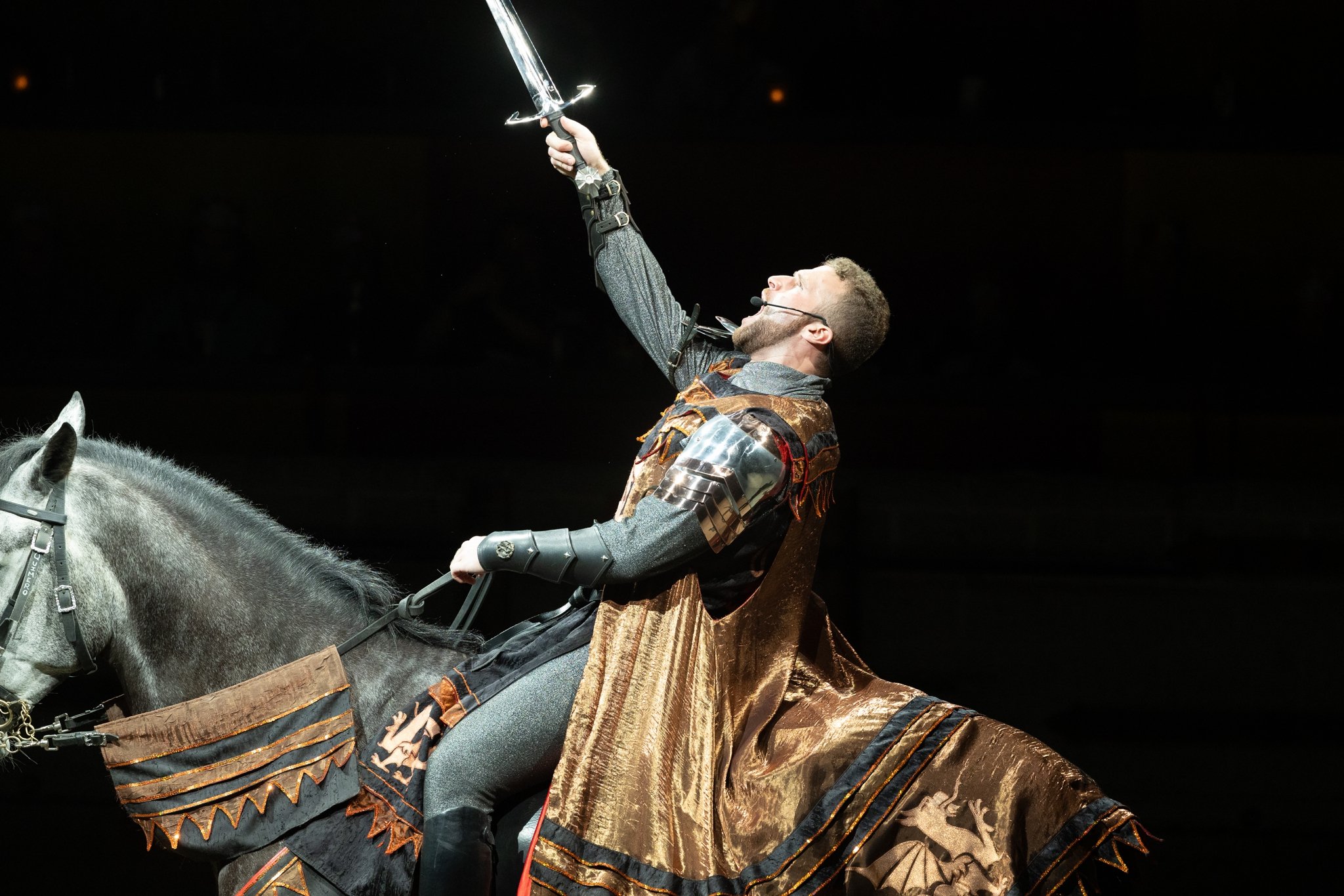 Medieval Times, Medieval Times Chicago, Chicago, Chicago Horse, Midwest Horse Photographer, Dressage Photographer, Wisconsin Horse, Equine Photographer