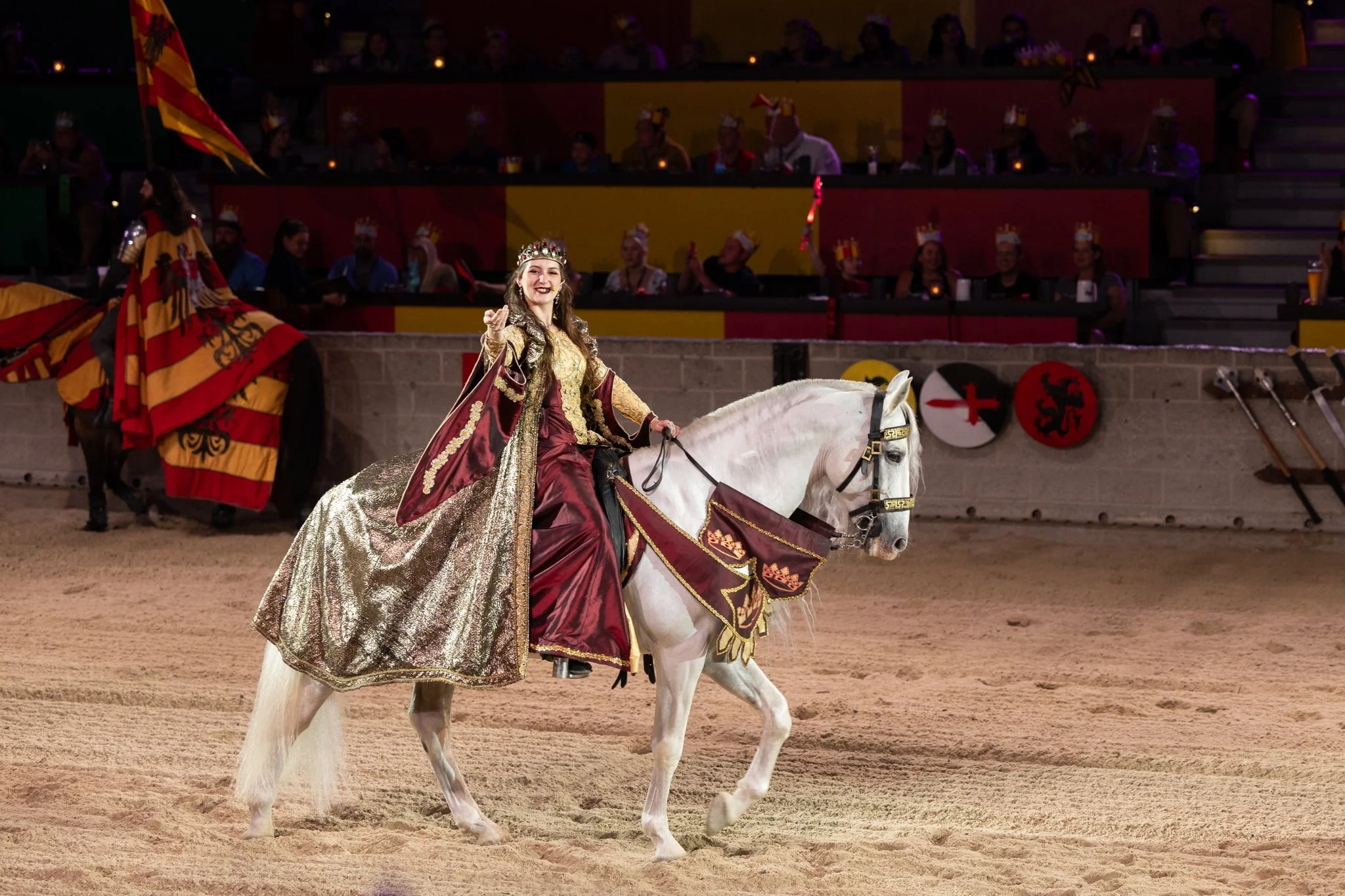 Medieval Times, Medieval Times Chicago, Chicago, Chicago Horse, Midwest Horse Photographer, Dressage Photographer, Wisconsin Horse, Equine Photographer