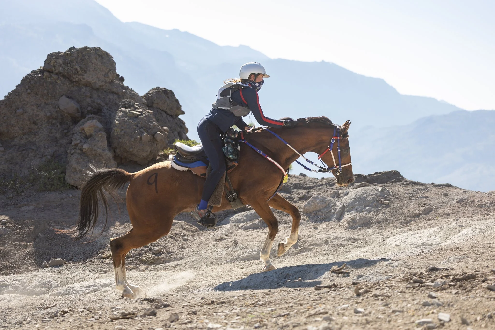 Tevis Cup, Tevis Cup 2025, Tevis Cup Endurance Ride, Tevis Cup Photographer, Endurance Ride, Endurance Riding, Endurance Racing, Western States Trail Foundation