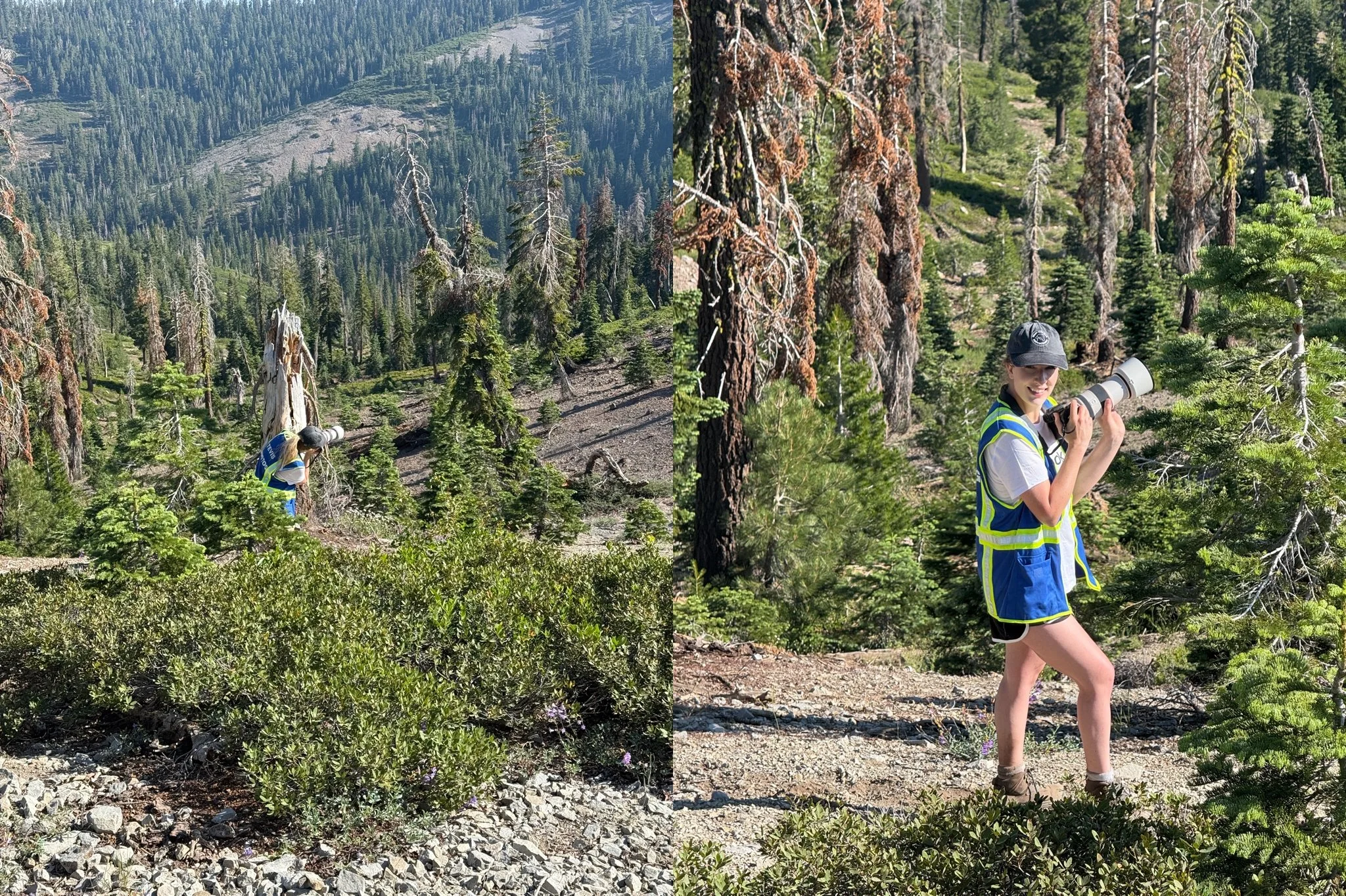 Tevis Cup, Tevis Cup 2025, Tevis Cup Endurance Ride, Tevis Cup Photographer, Endurance Ride, Endurance Riding, Endurance Racing, Western States Trail Foundation