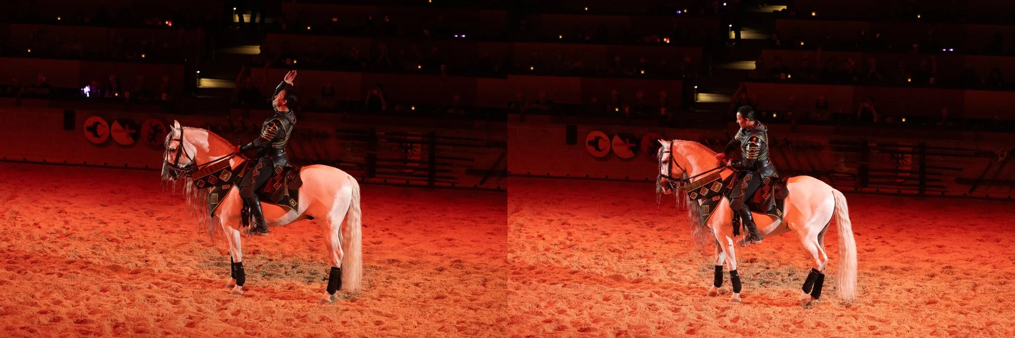 Medieval Times, Medieval Times Chicago, Chicago, Chicago Horse, Midwest Horse Photographer, Dressage Photographer, Wisconsin Horse, Equine Photographer