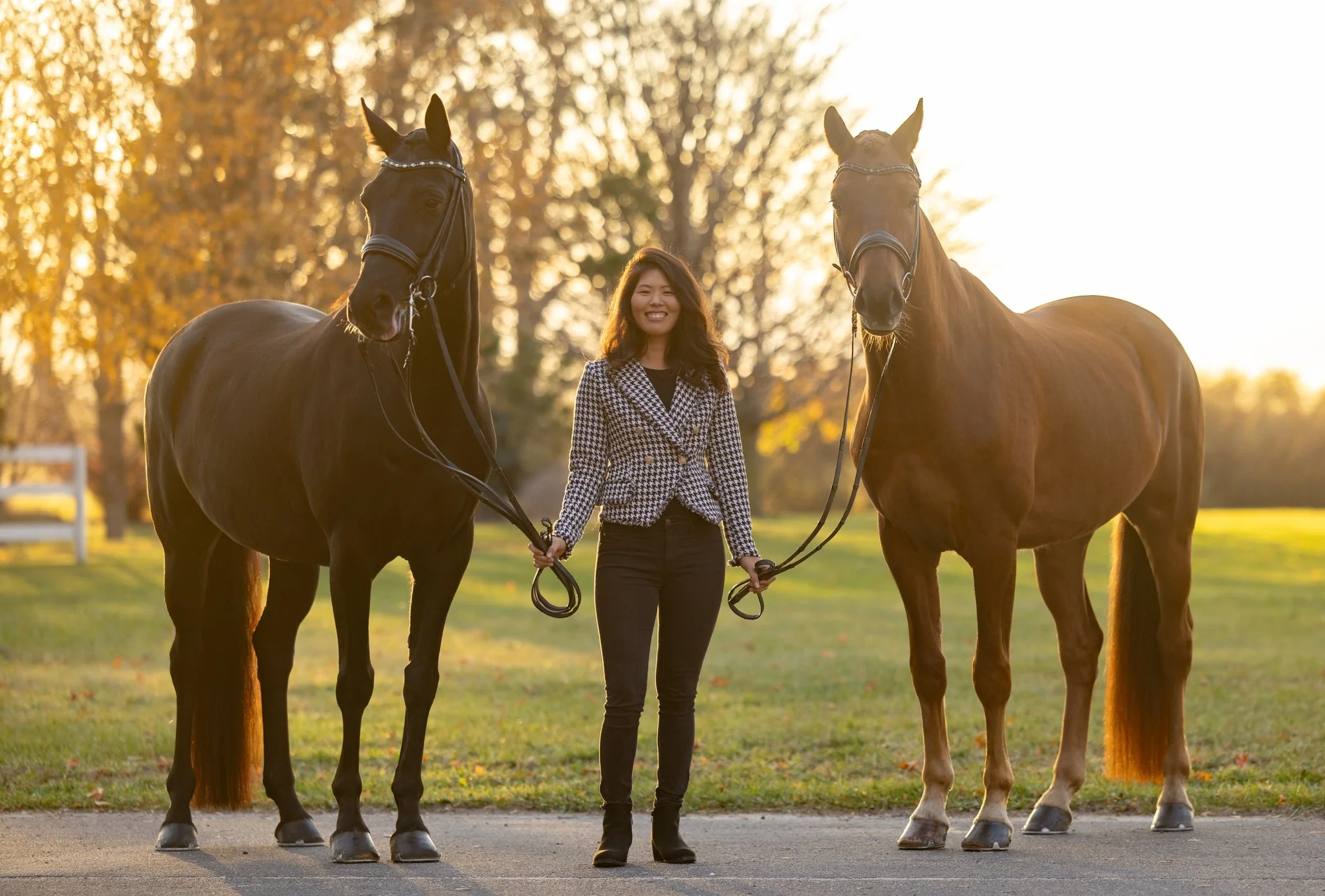 Sidelines Magazine, FEI, Dressage, USDF, Gelding, Mare, Britt Burson, Stacy Tierman Photography, Illinois Horse Photography, Illinois Horse Photographer, Midwest Horse Photographer, Chicago Horse Photographer, Chicago Horse Photography, Wisconsin