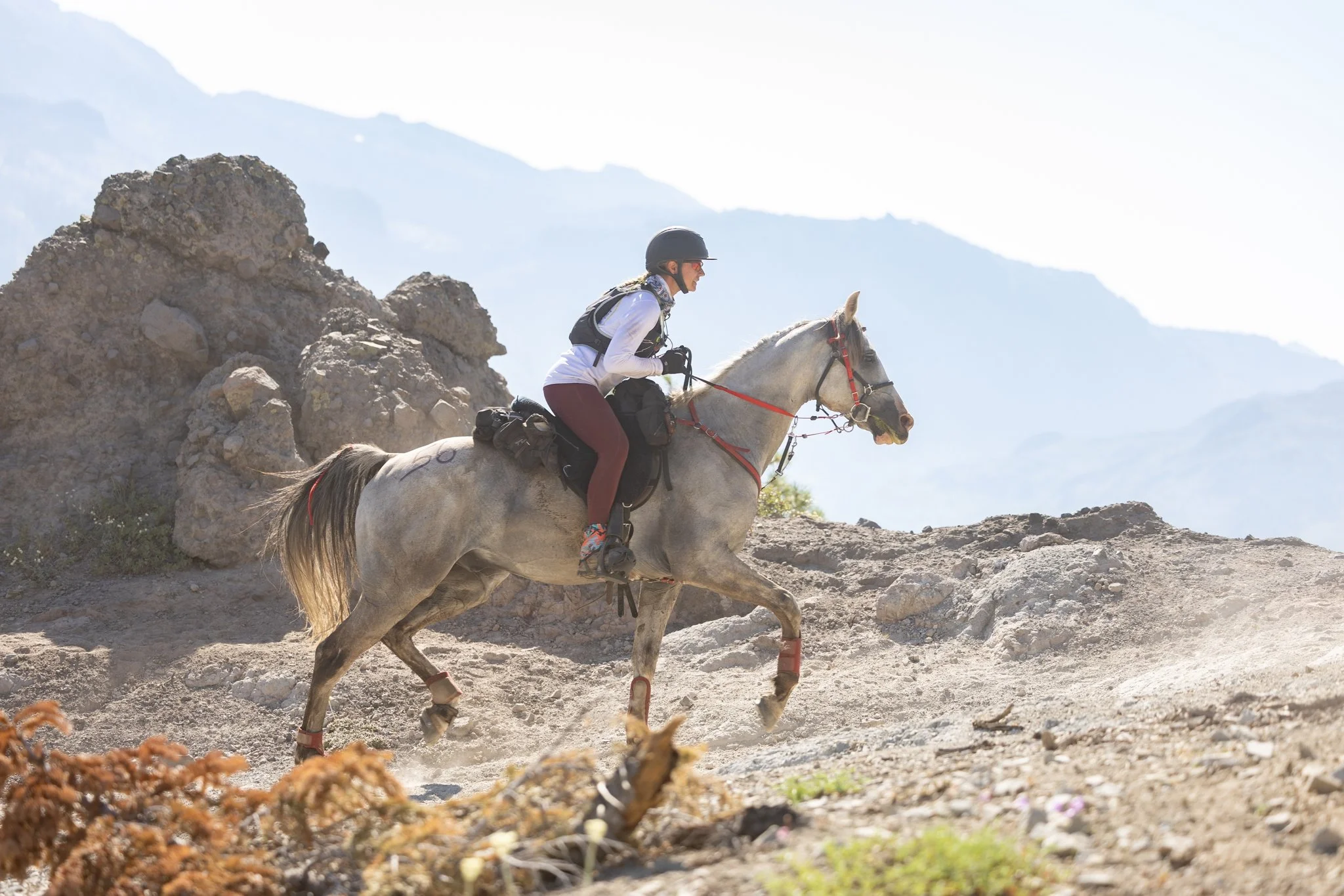 Tevis Cup, Tevis Cup 2025, Tevis Cup Endurance Ride, Tevis Cup Photographer, Endurance Ride, Endurance Riding, Endurance Racing, Western States Trail Foundation