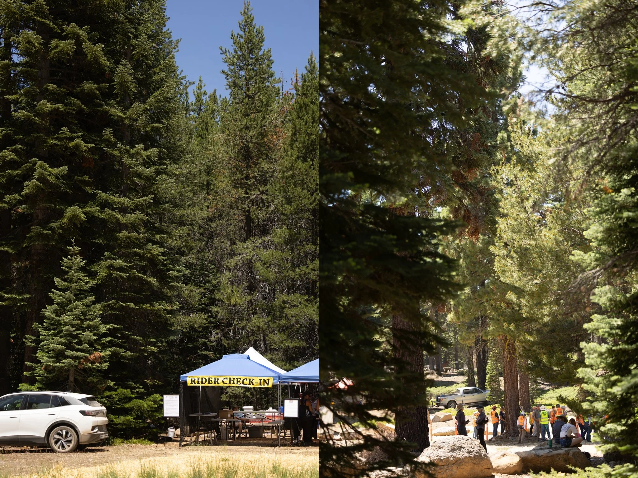 Tevis Cup, Tevis Cup 2025, Tevis Cup Endurance Ride, Tevis Cup Photographer, Endurance Ride, Endurance Riding, Endurance Racing, Western States Trail Foundation