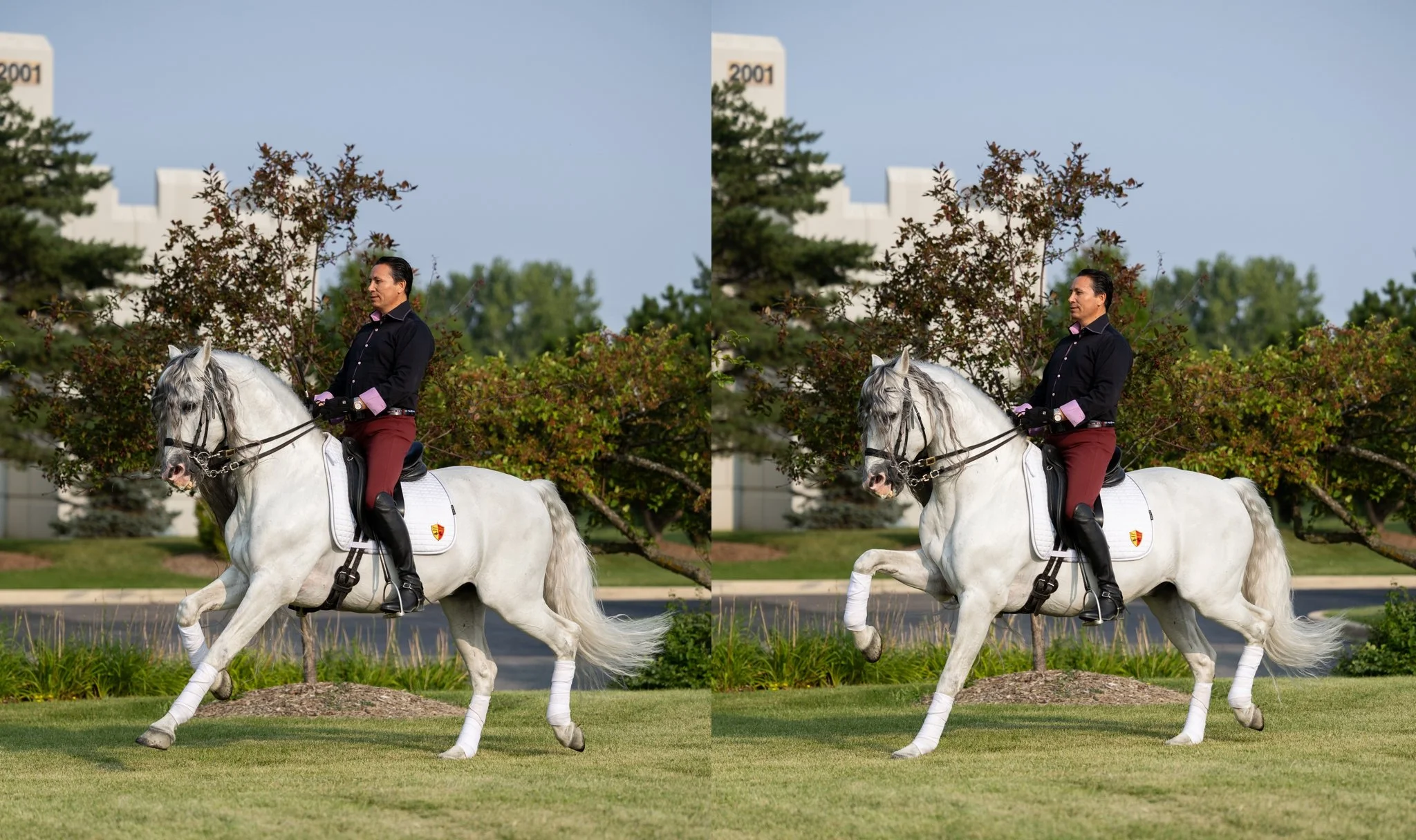 Medieval Times, Medieval Times Chicago, Chicago, Chicago Horse, Midwest Horse Photographer, Dressage Photographer, Wisconsin Horse, Equine Photographer
