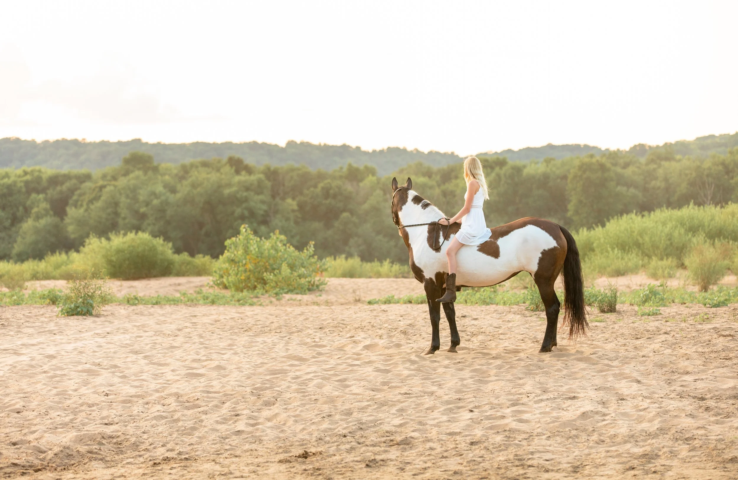 Wisconsin Horse Photographer