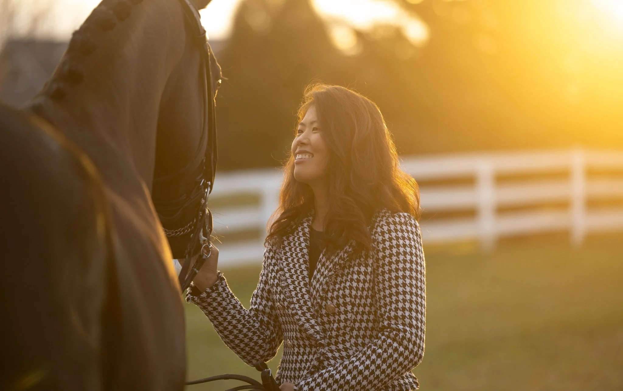 Sidelines Magazine, FEI, Dressage, USDF, Gelding, Mare, Britt Burson, Stacy Tierman Photography, Illinois Horse Photography, Illinois Horse Photographer, Midwest Horse Photographer, Chicago Horse Photographer, Chicago Horse Photography, Wisconsin