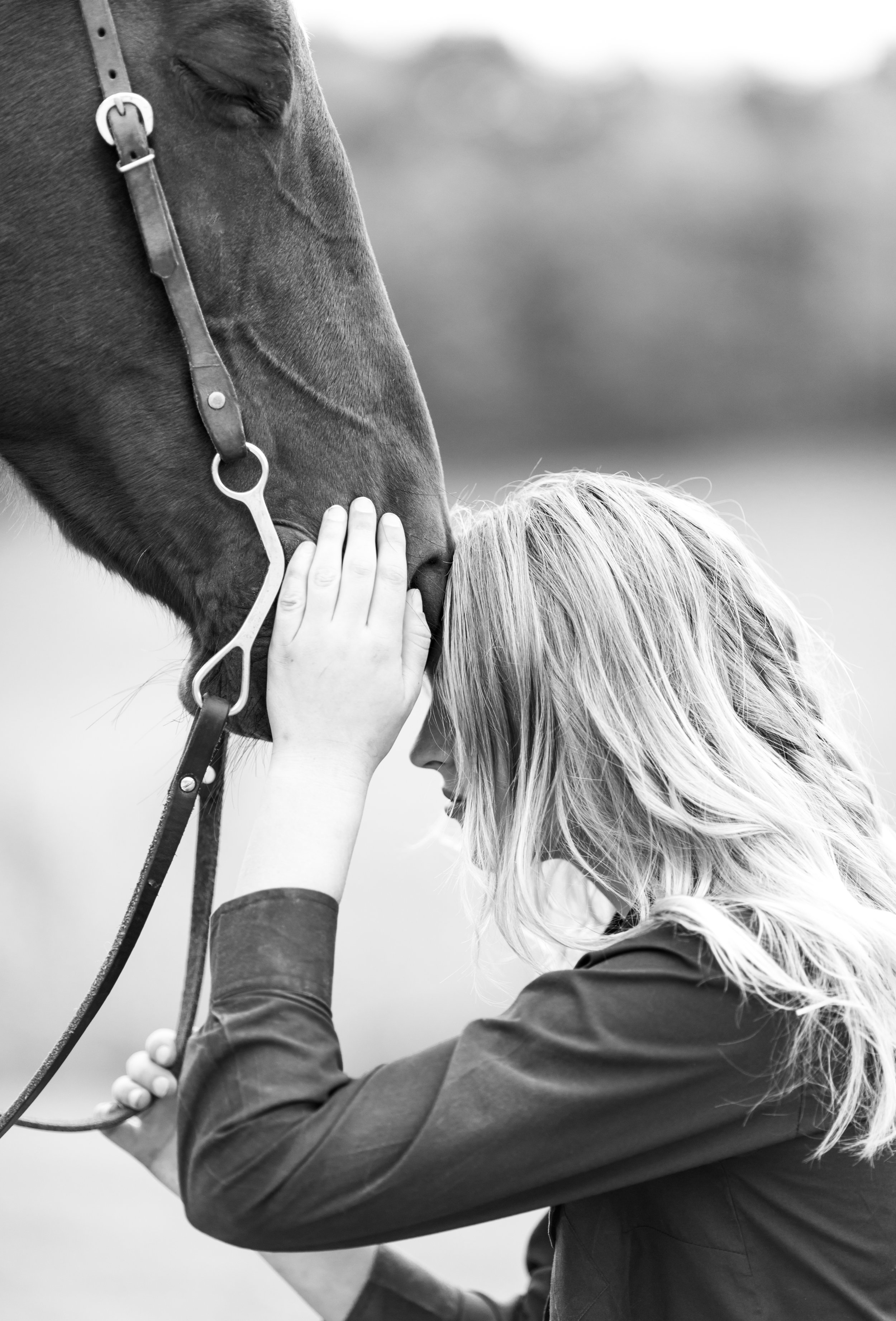 Wisconsin Horse Photographer