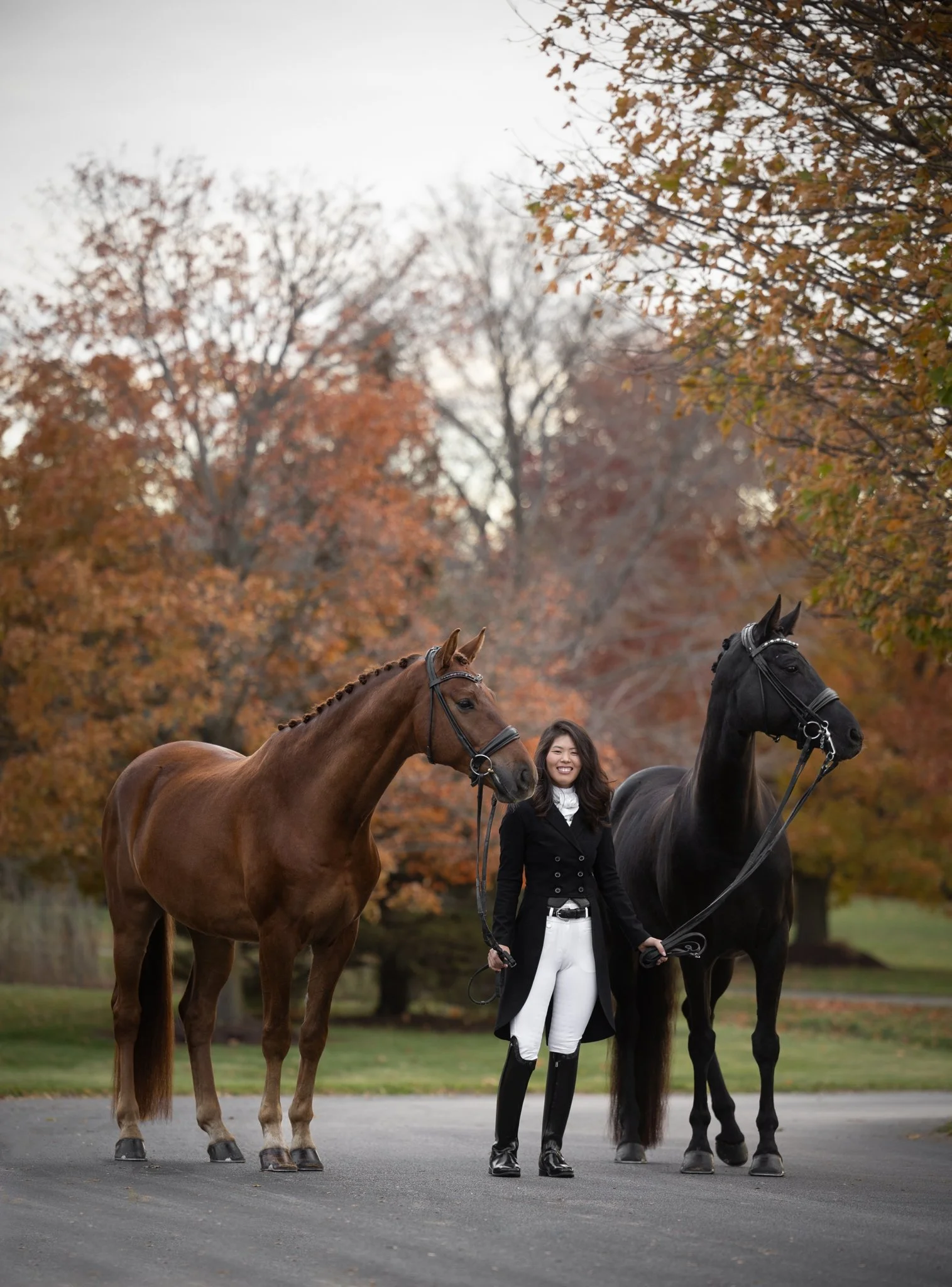 Sidelines Magazine, FEI, Dressage, USDF, Gelding, Mare, Britt Burson, Stacy Tierman Photography, Illinois Horse Photography, Illinois Horse Photographer, Midwest Horse Photographer, Chicago Horse Photographer, Chicago Horse Photography, Wisconsin