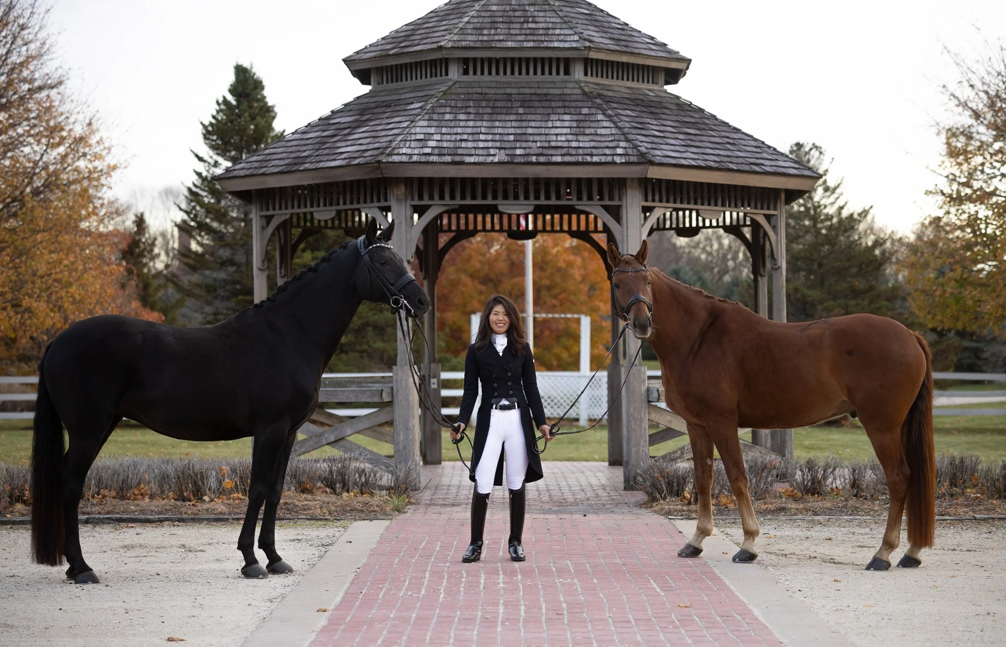Sidelines Magazine, FEI, Dressage, USDF, Gelding, Mare, Britt Burson, Stacy Tierman Photography, Illinois Horse Photography, Illinois Horse Photographer, Midwest Horse Photographer, Chicago Horse Photographer, Chicago Horse Photography, Wisconsin