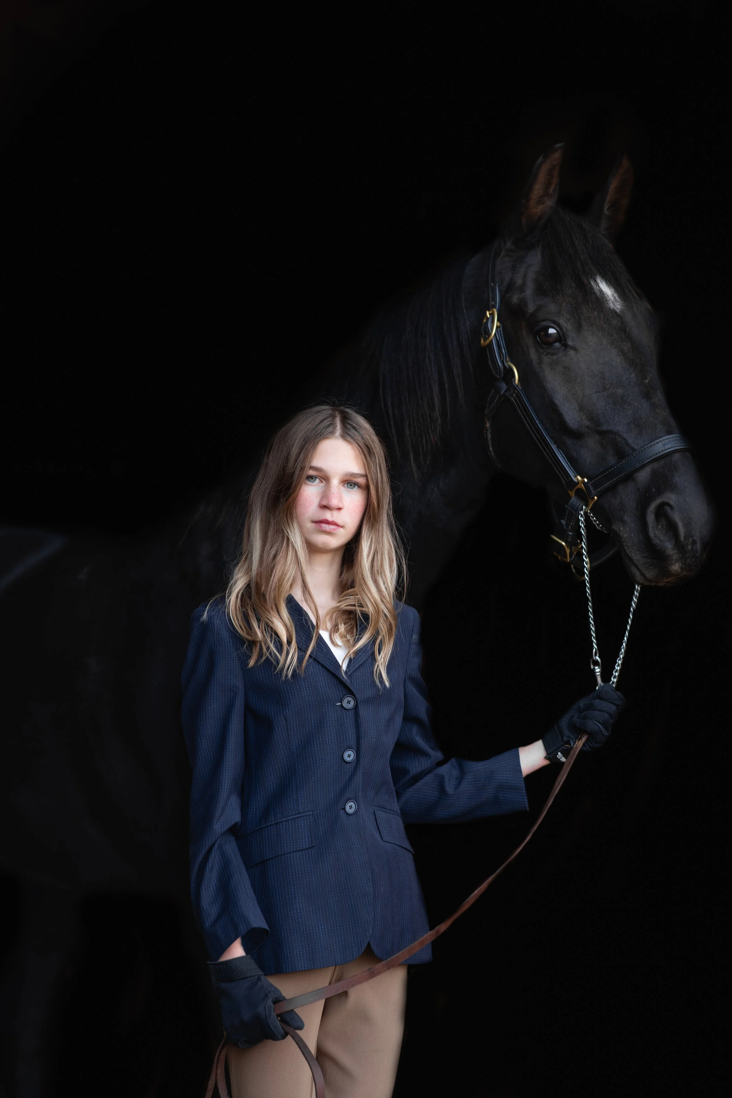 Wisconsin Horse Photographer
