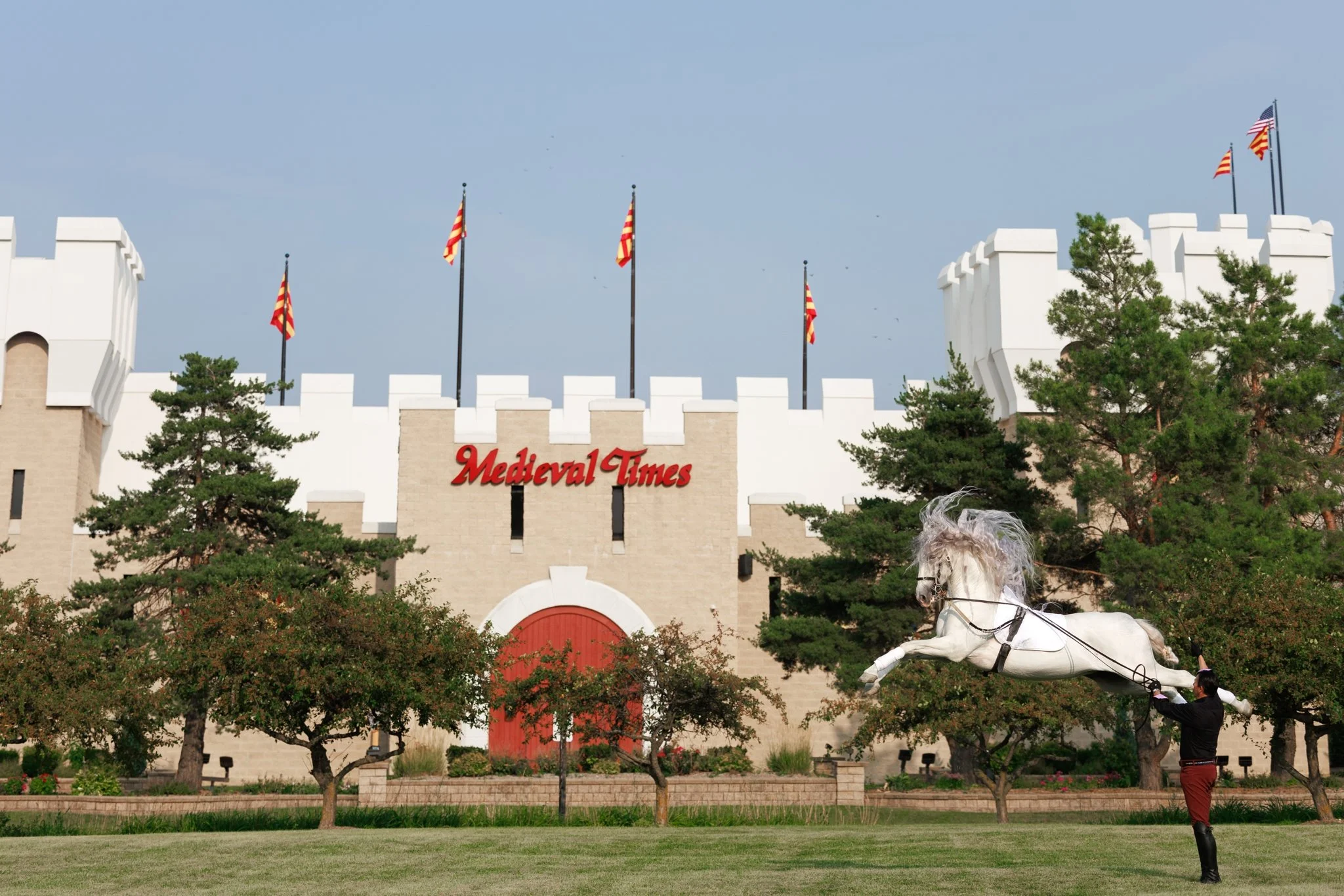 Medieval Times, Medieval Times Chicago, Chicago, Chicago Horse, Midwest Horse Photographer, Dressage Photographer, Wisconsin Horse, Equine Photographer