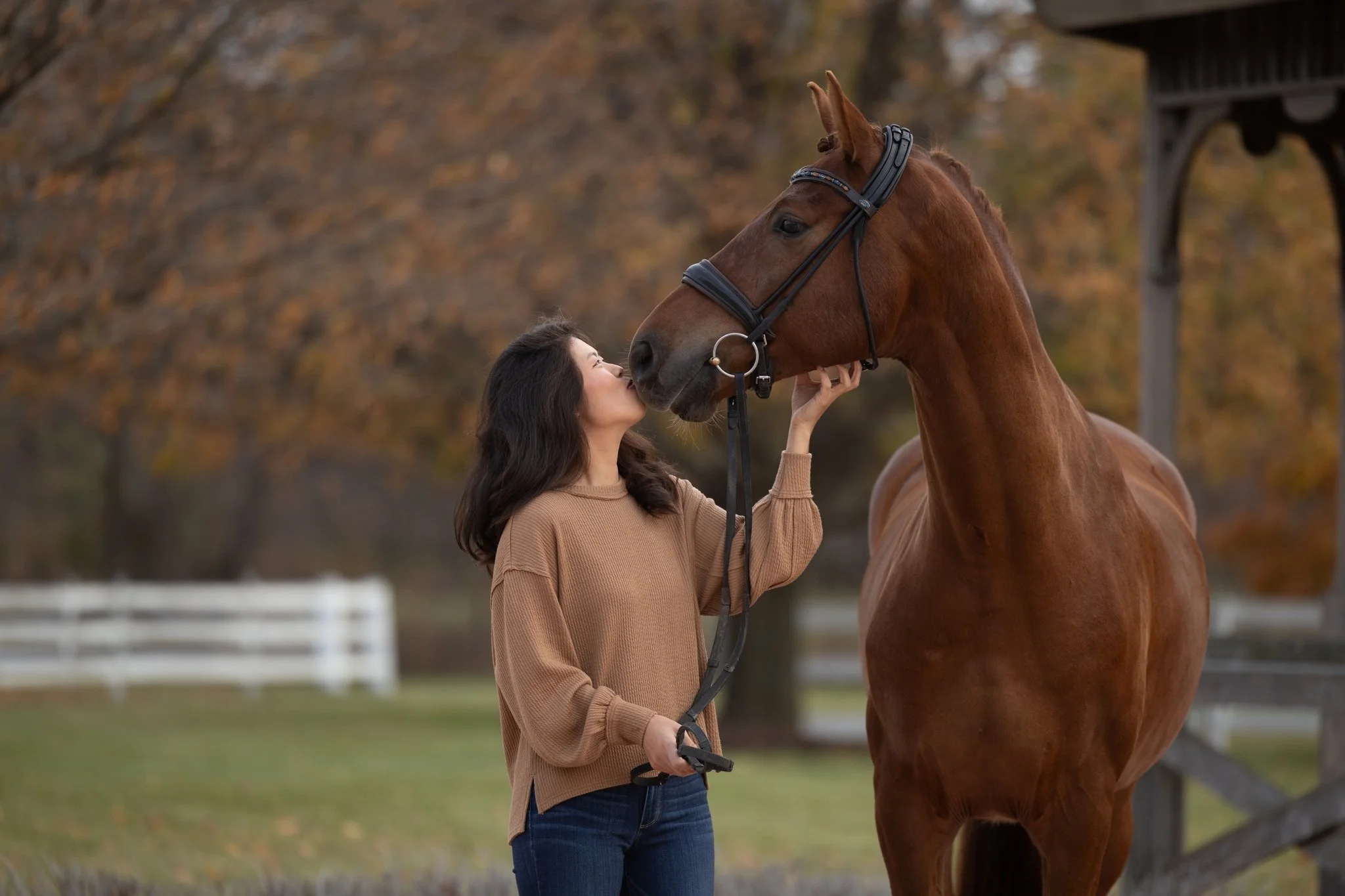 Sidelines Magazine, FEI, Dressage, USDF, Gelding, Mare, Britt Burson, Stacy Tierman Photography, Illinois Horse Photography, Illinois Horse Photographer, Midwest Horse Photographer, Chicago Horse Photographer, Chicago Horse Photography, Wisconsin