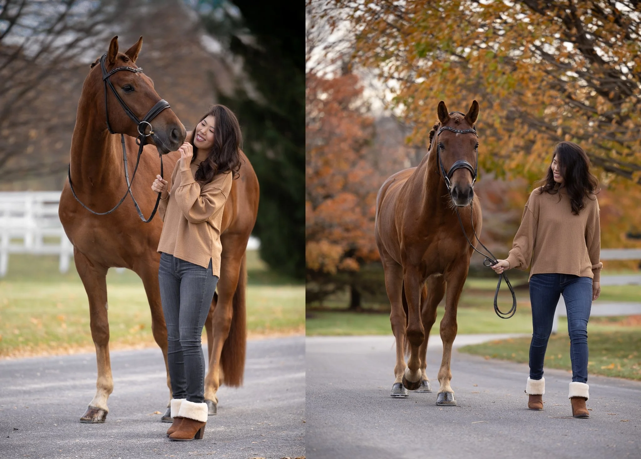 Sidelines Magazine, FEI, Dressage, USDF, Gelding, Mare, Britt Burson, Stacy Tierman Photography, Illinois Horse Photography, Illinois Horse Photographer, Midwest Horse Photographer, Chicago Horse Photographer, Chicago Horse Photography, Wisconsin