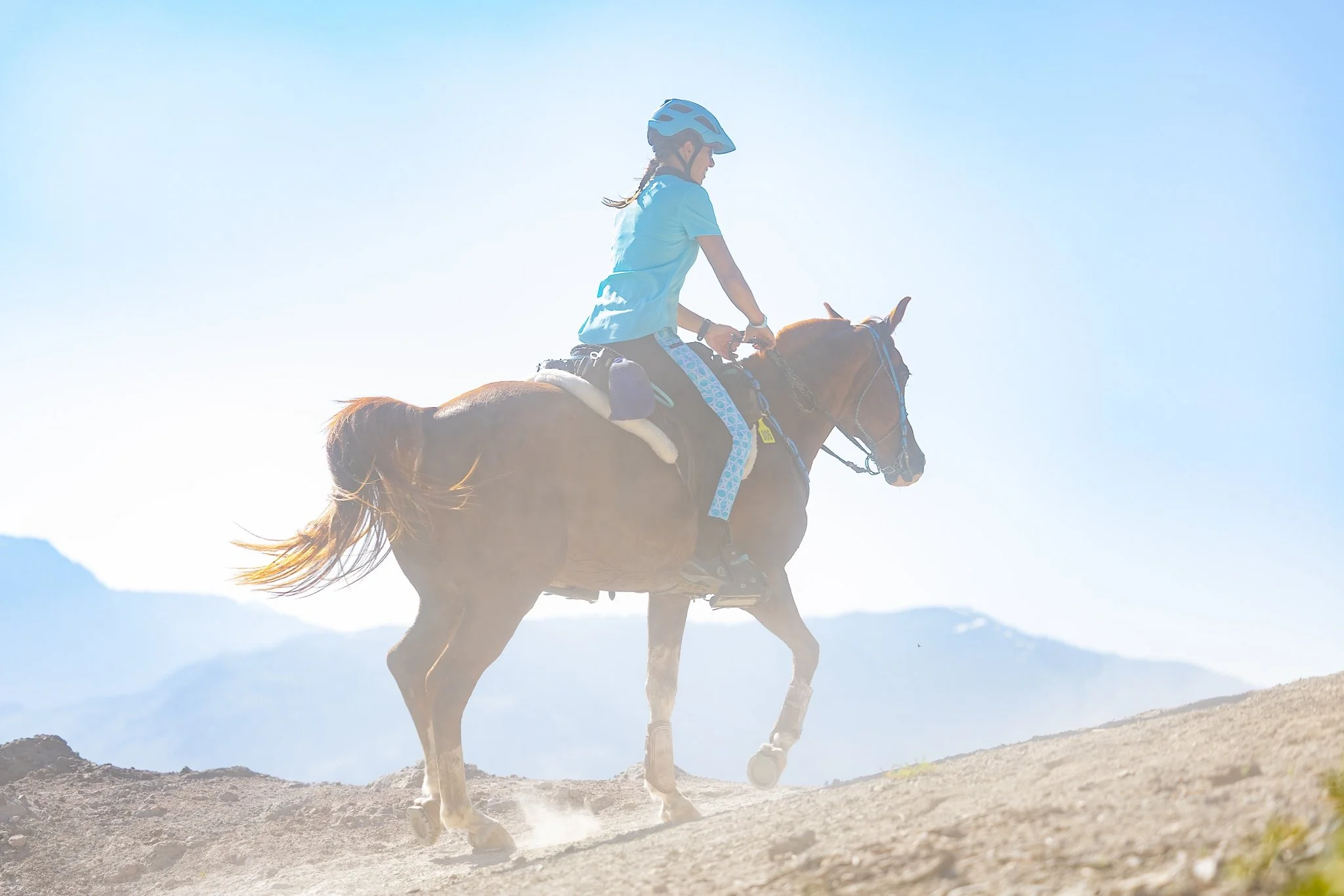 Tevis Cup, Tevis Cup 2025, Tevis Cup Endurance Ride, Tevis Cup Photographer, Endurance Ride, Endurance Riding, Endurance Racing, Western States Trail Foundation
