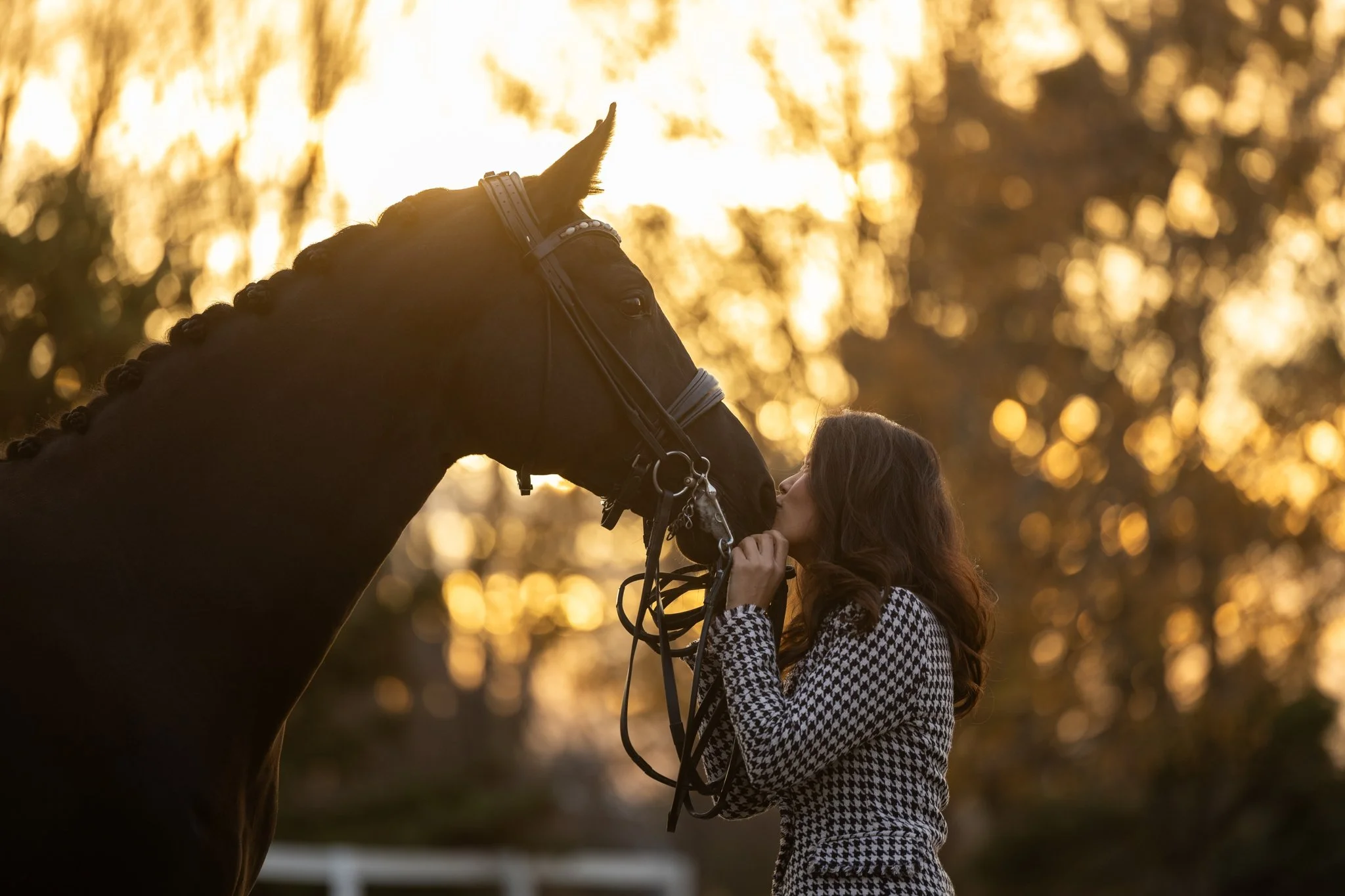 Sidelines Magazine, FEI, Dressage, USDF, Gelding, Mare, Britt Burson, Stacy Tierman Photography, Illinois Horse Photography, Illinois Horse Photographer, Midwest Horse Photographer, Chicago Horse Photographer, Chicago Horse Photography, Wisconsin