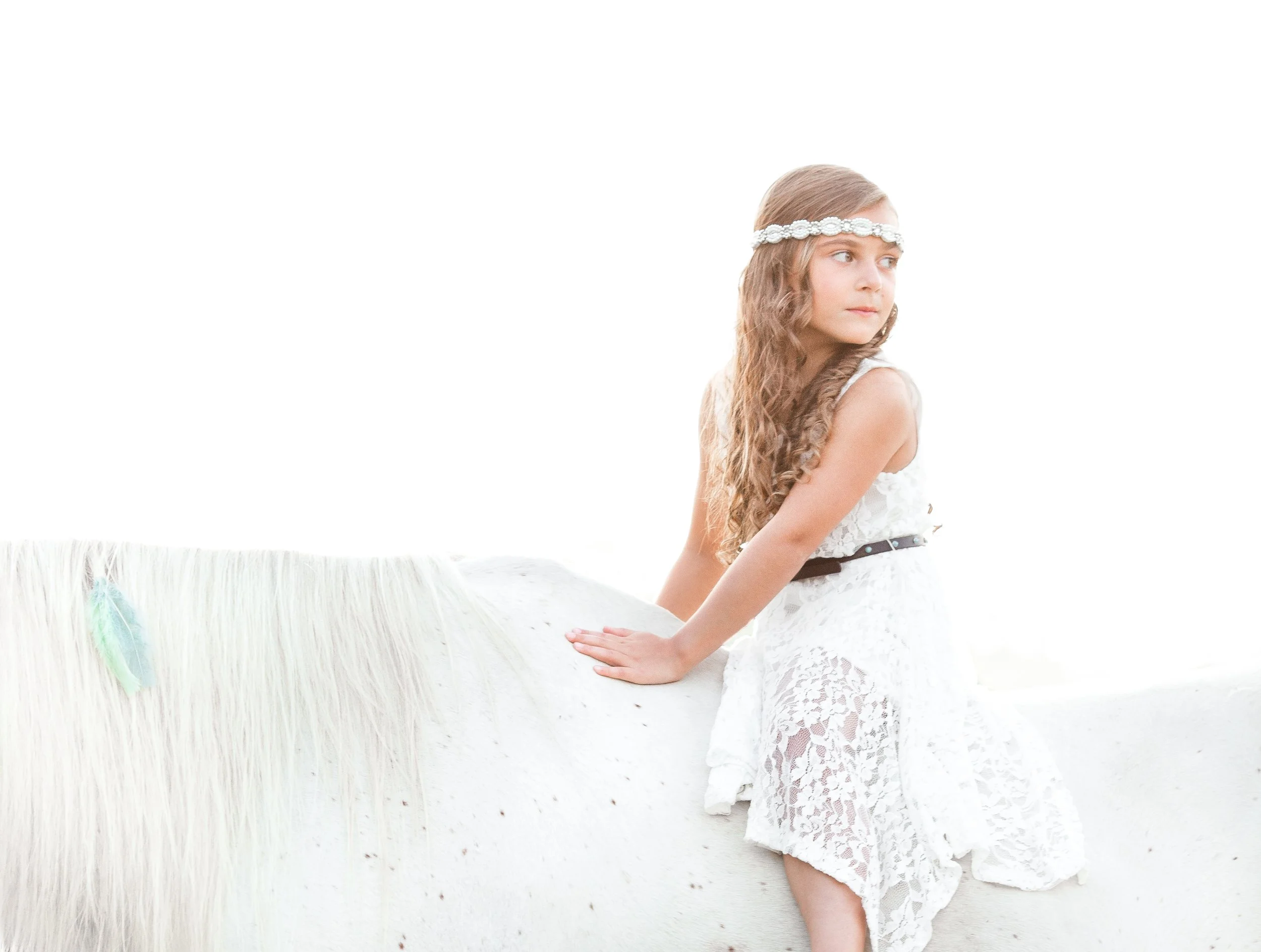 Wisconsin Horse Photographer