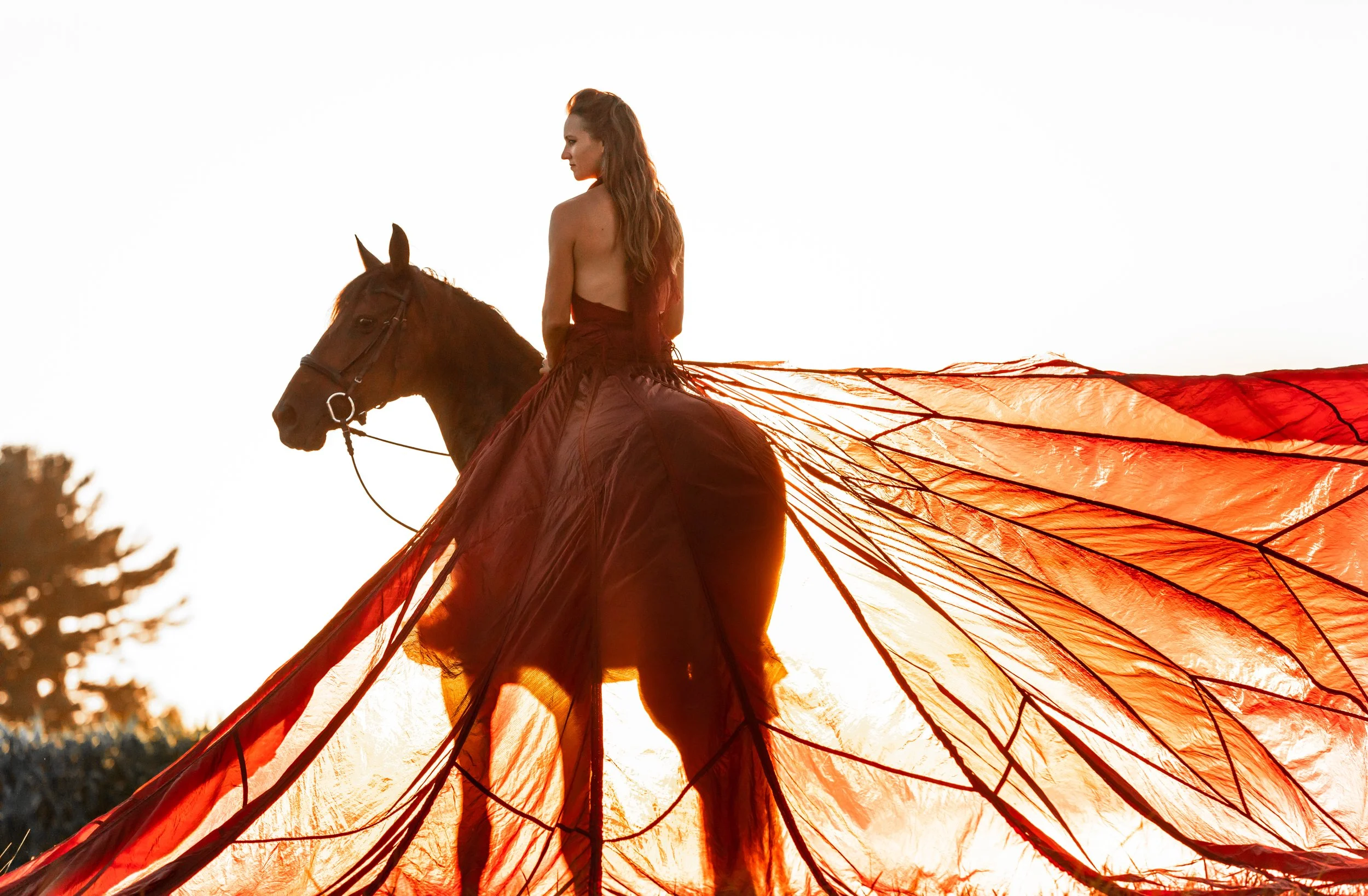 Wisconsin Horse Photographer